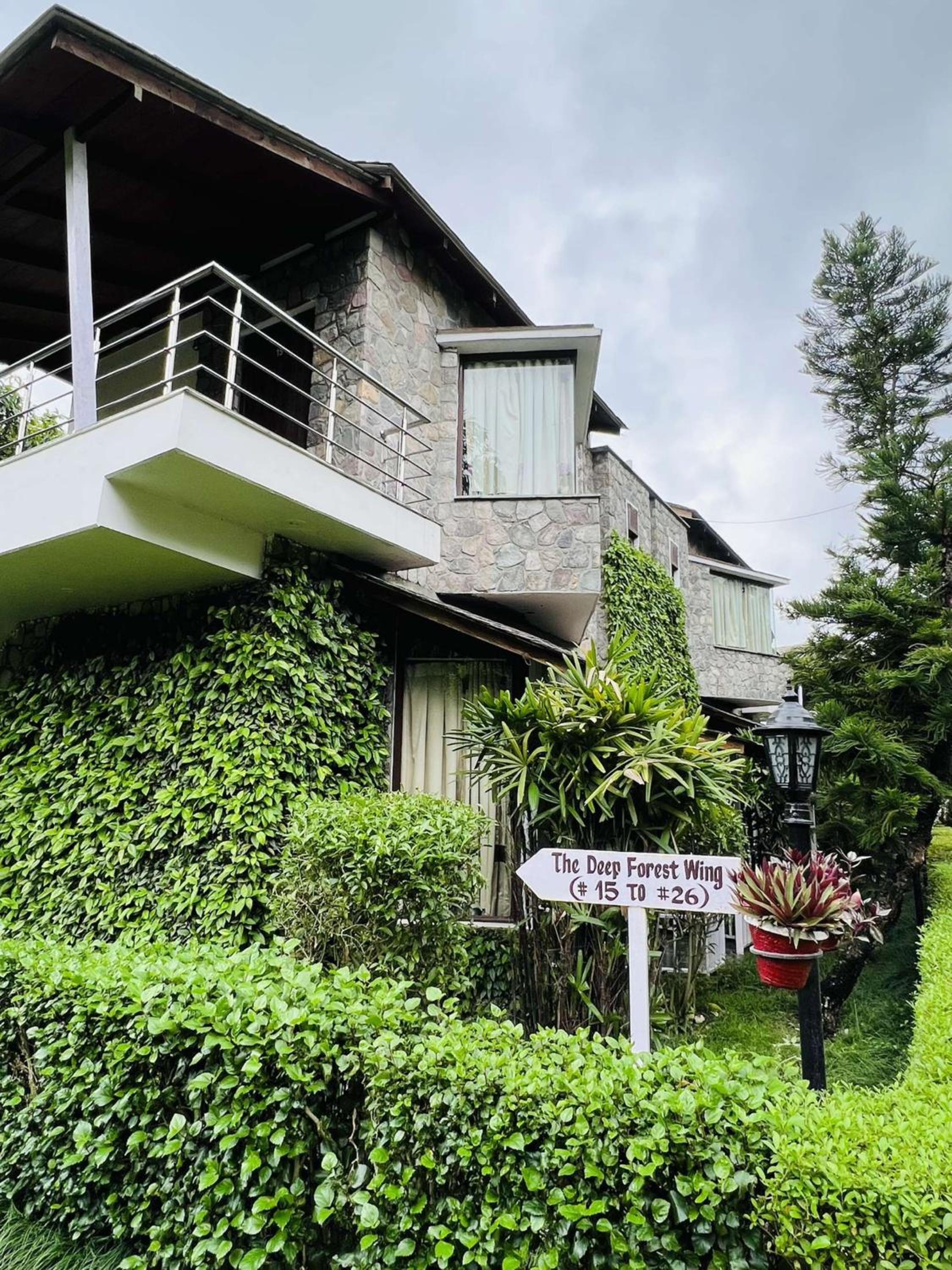 Wood castle Spa & Resort