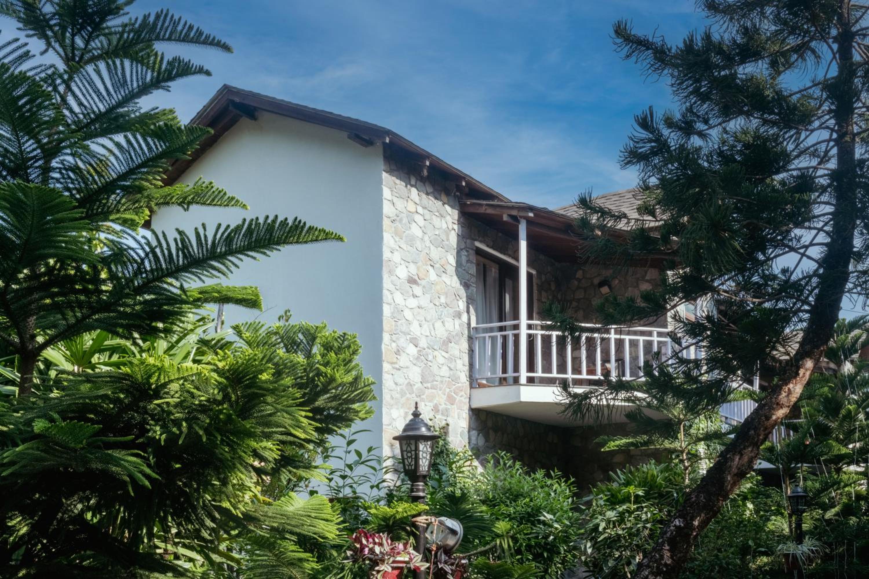 Wood castle Spa & Resort