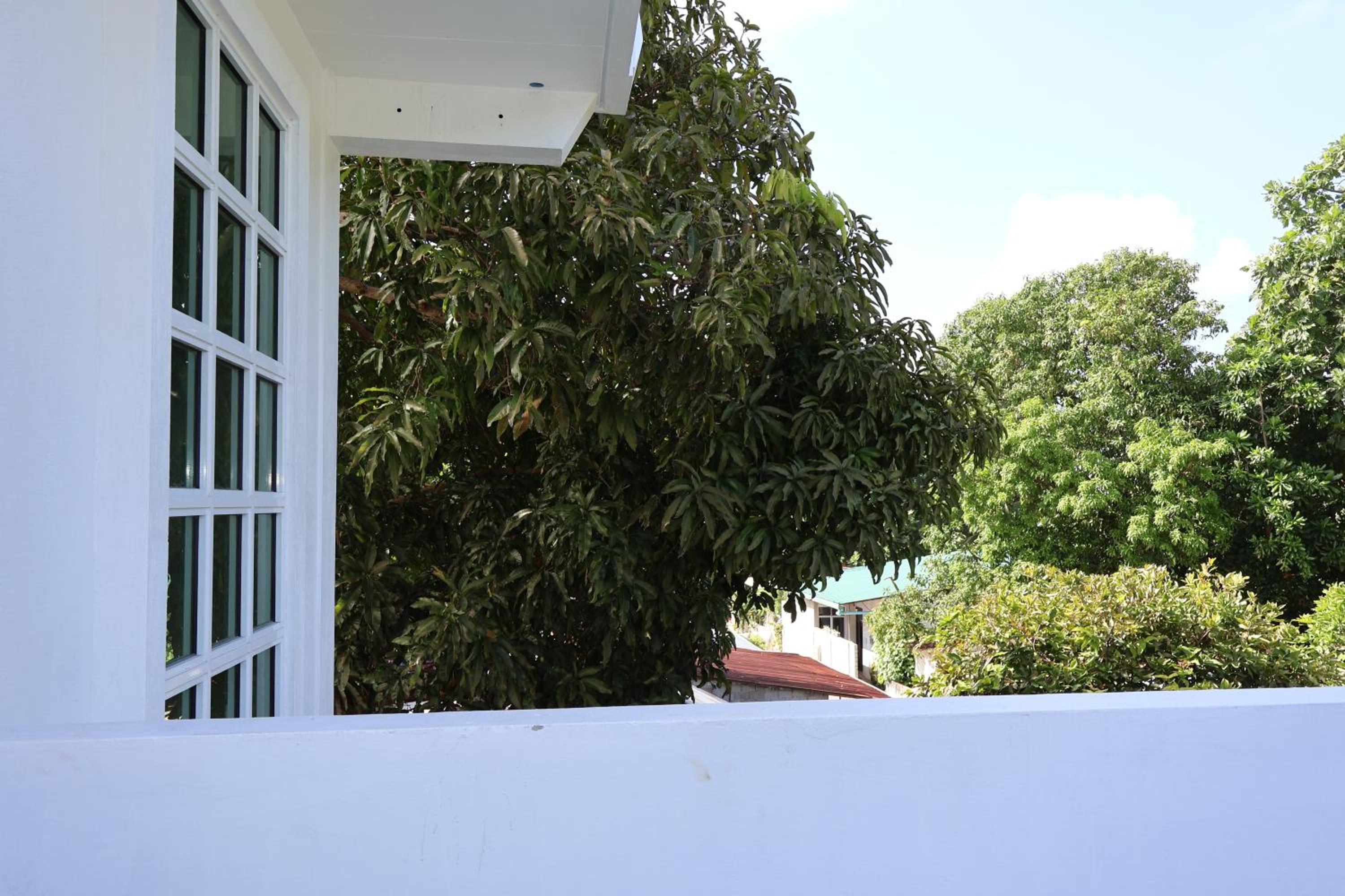 Photo 46
