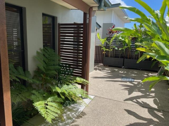 Little Fern House