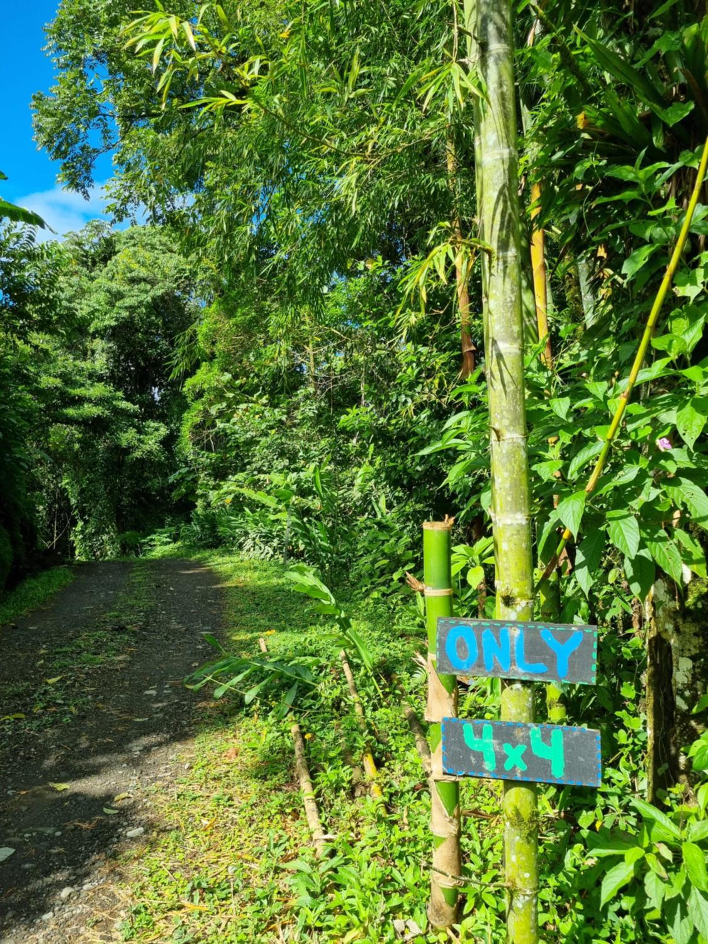 Vulkan Arenal Amazing View Lodge 4 WD