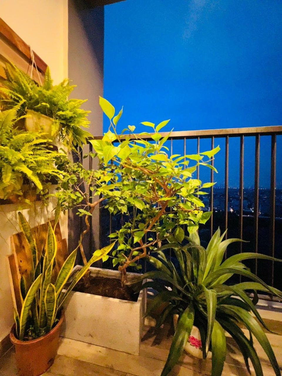 Photo 38