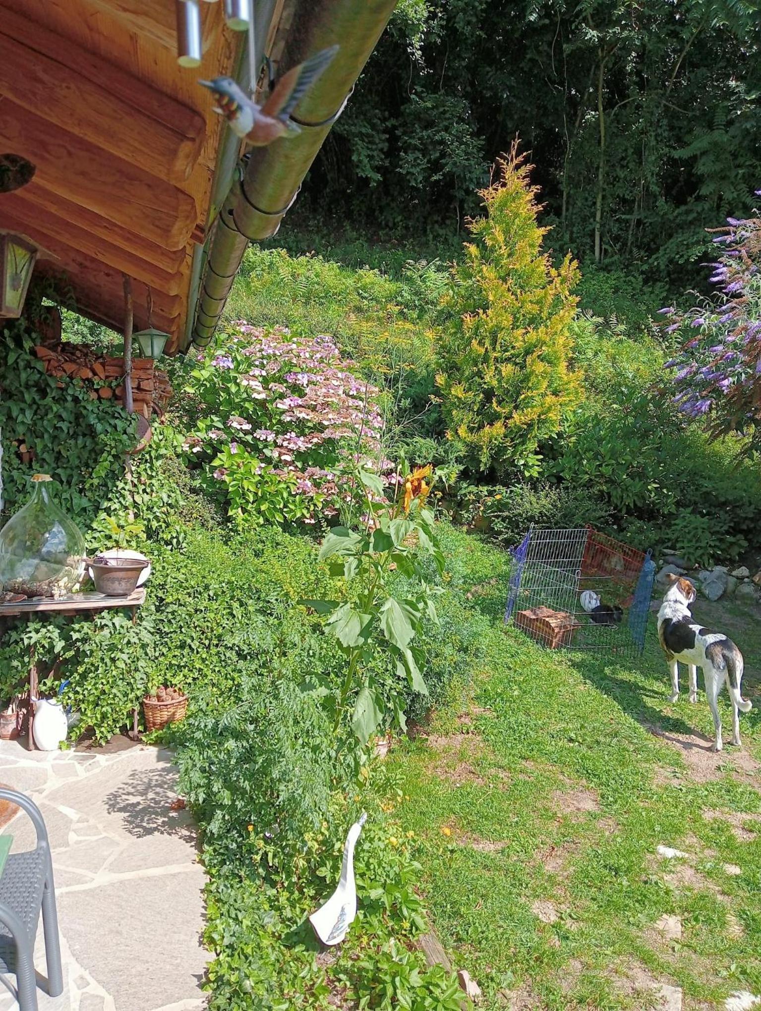 Photo 14
