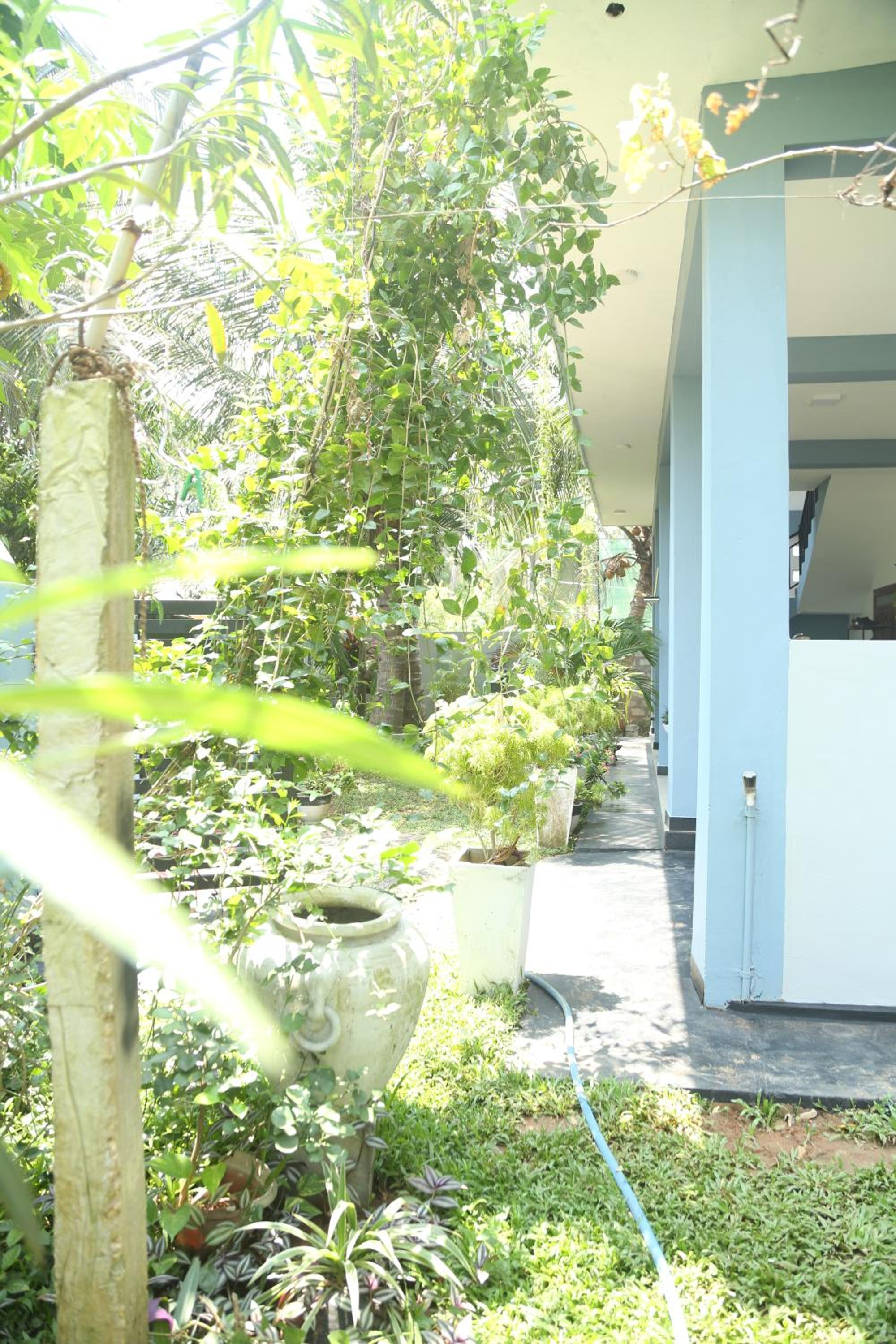 Rose Fort Homestay view 4