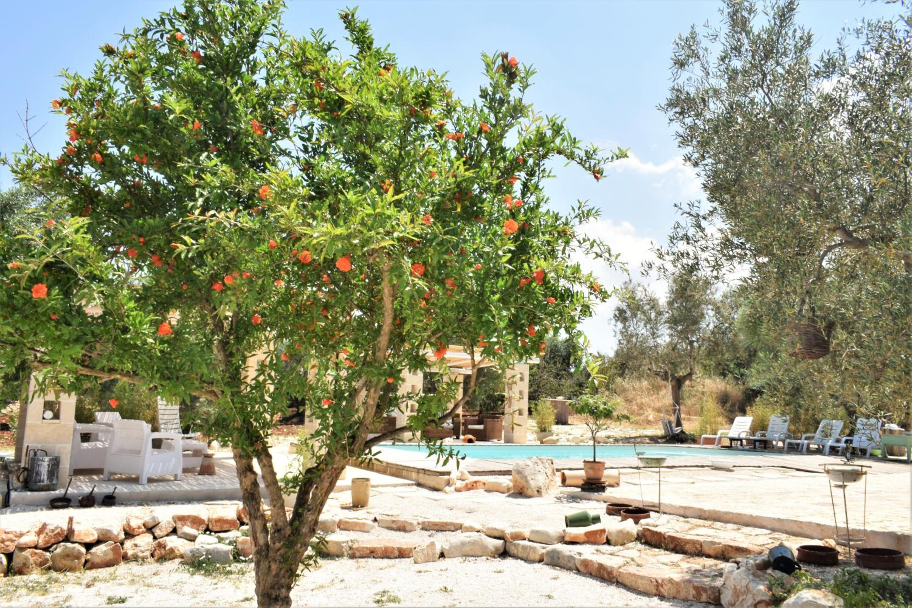 WePuglia - Paradise Trulli