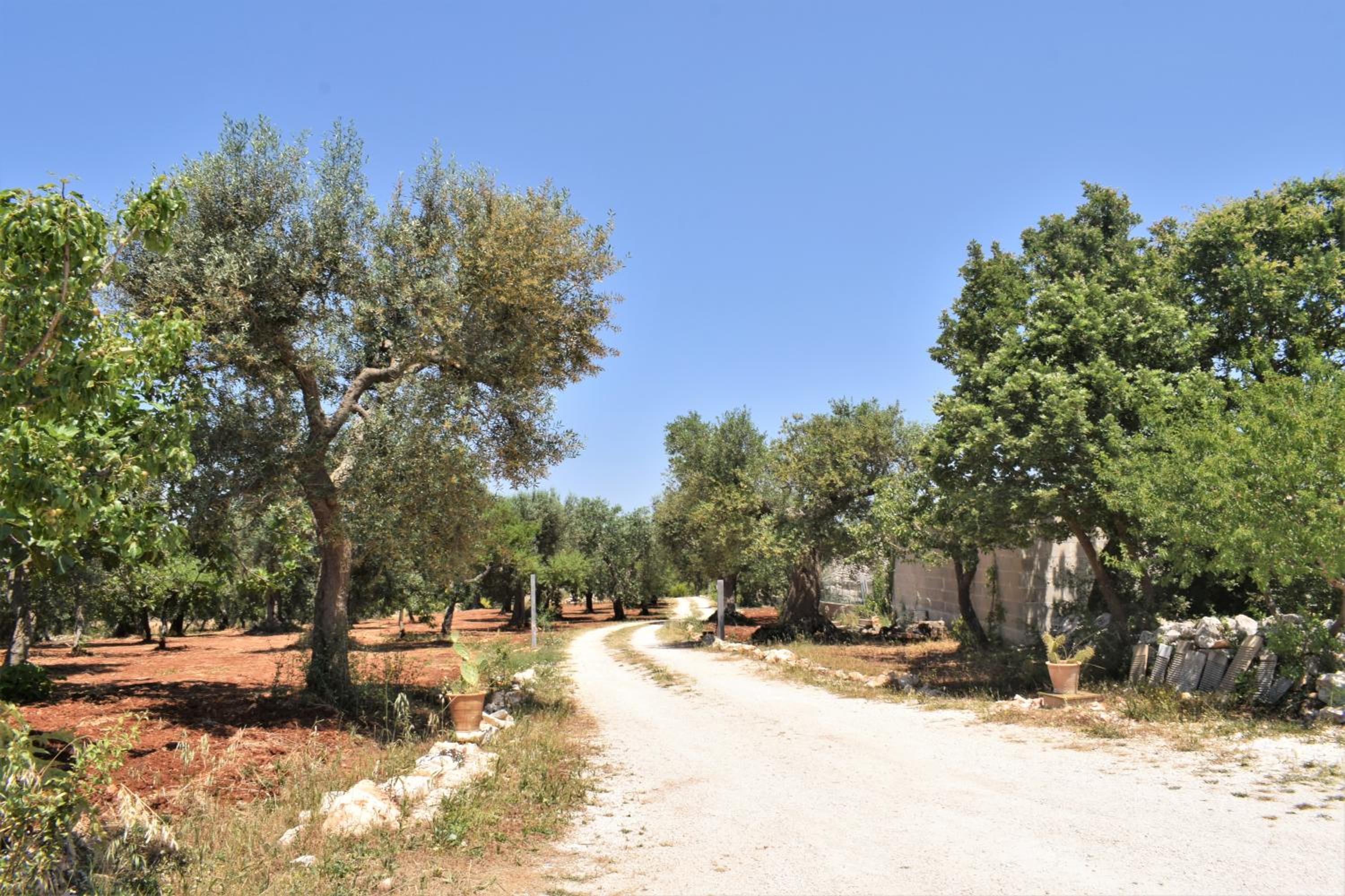 WePuglia - Paradise Trulli