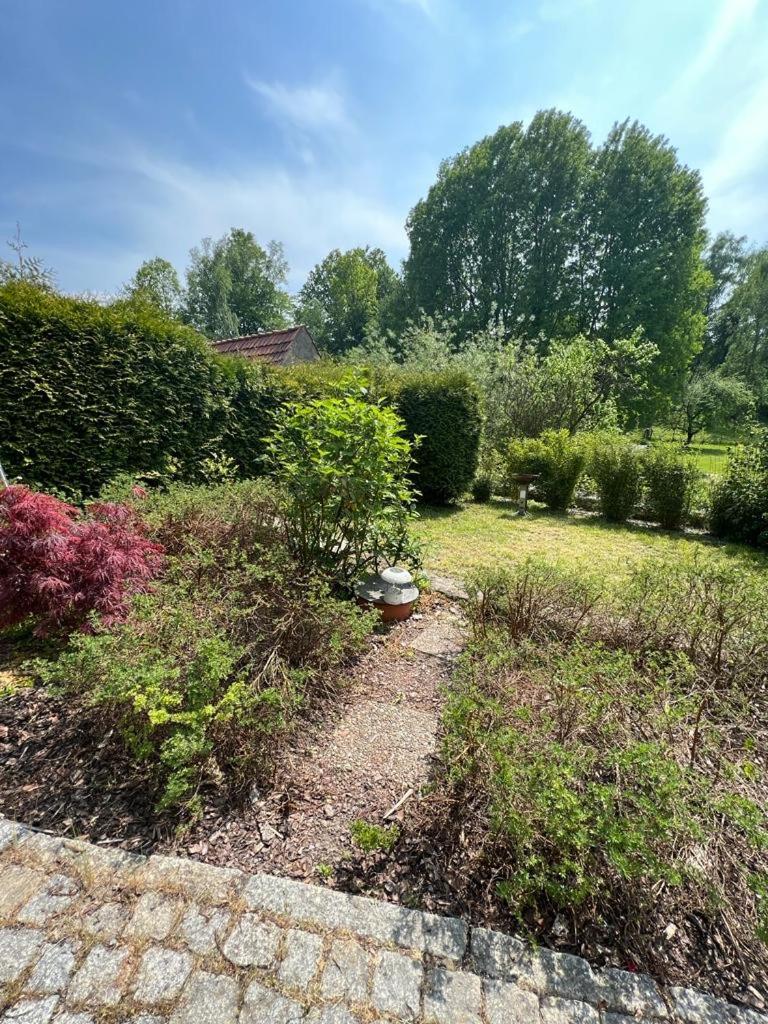 Haus am Berzdorfer See - 3 Schlafzimmer - ganzes Haus zur Alleinnutzung - Terrasse - hochwertige Ausstattung