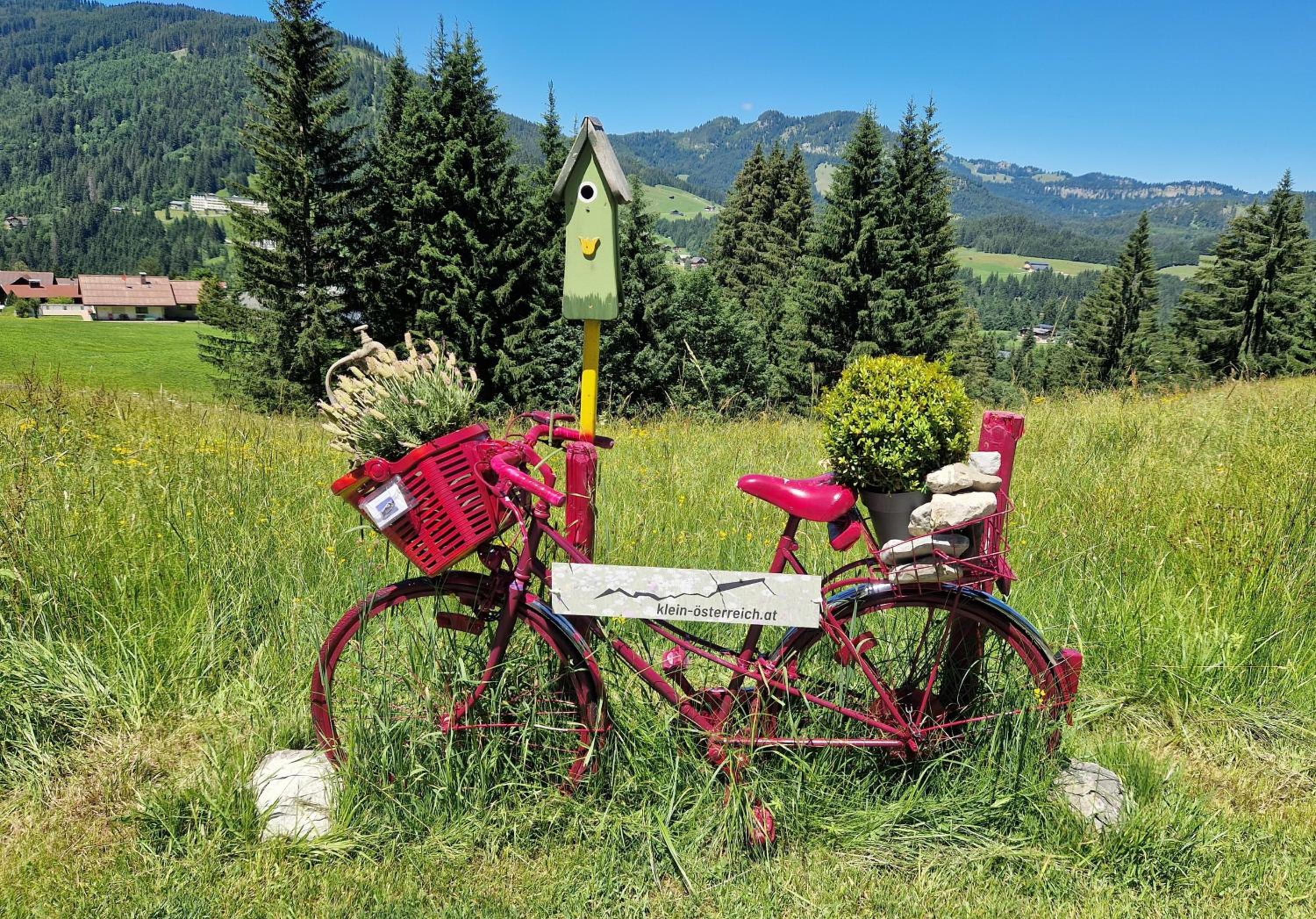 Ferienwohnung Alpenherz