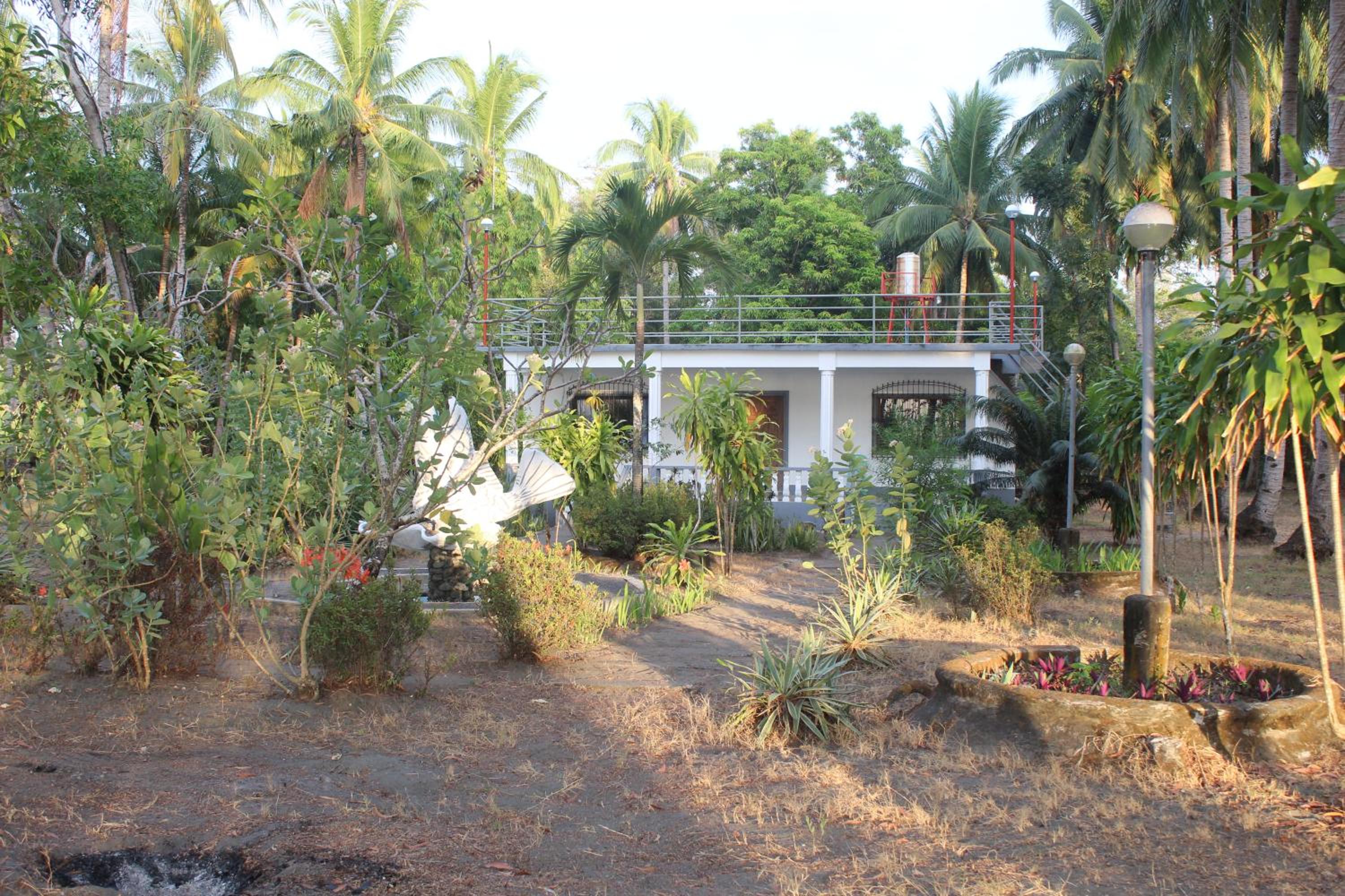 Photo 25