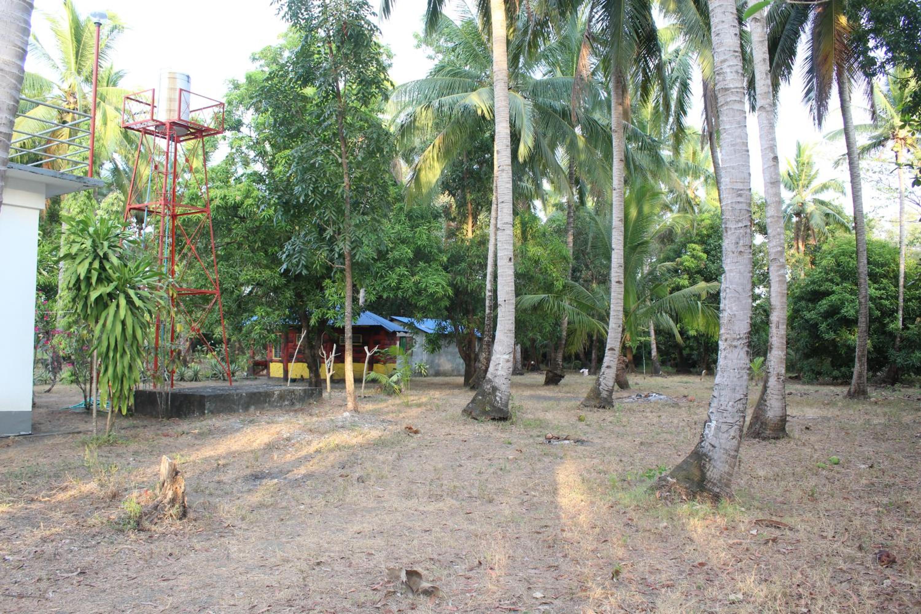 Photo 27