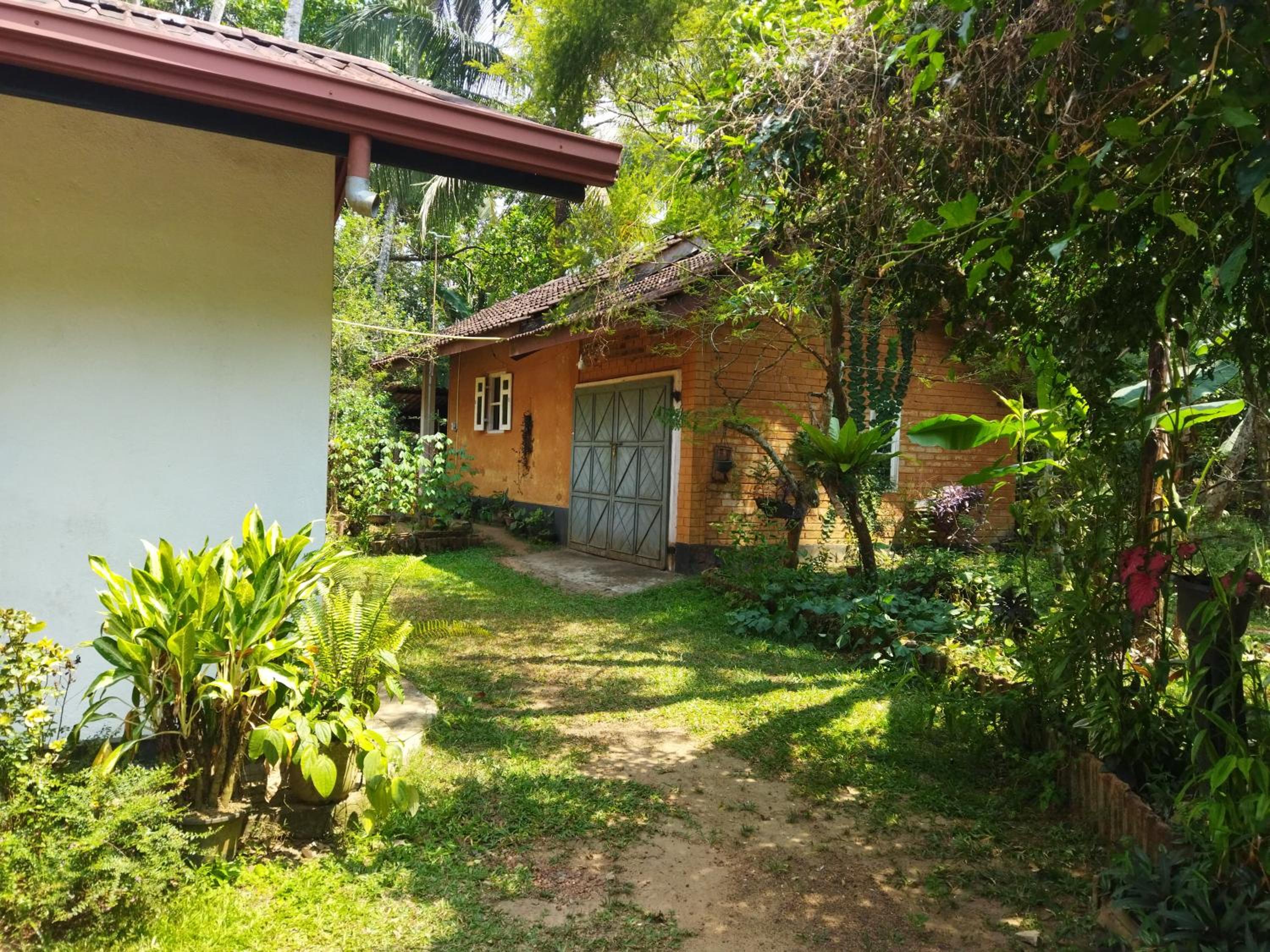 Straw-bale House view 4