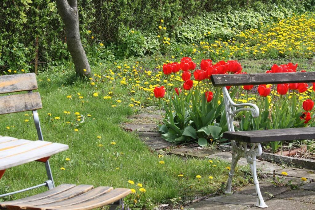 Ferienwohnung mit großem Garten und Blick zum See