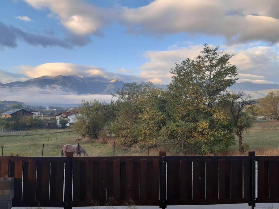Villa Detelina near the Bansko Ski Resort