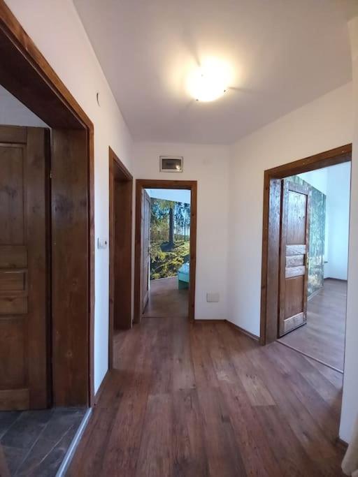 Villa Detelina near the Bansko Ski Resort