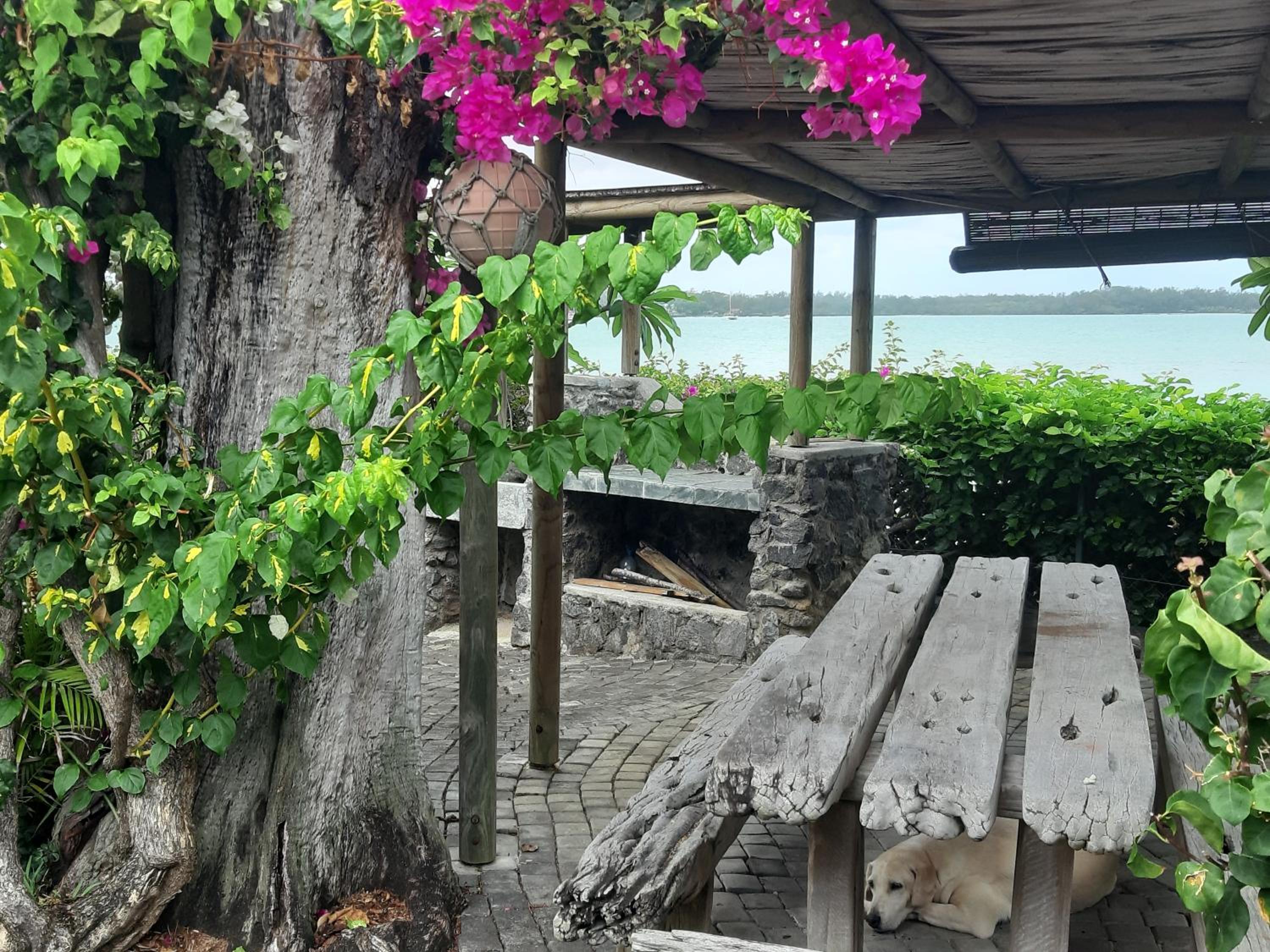 Photo 9