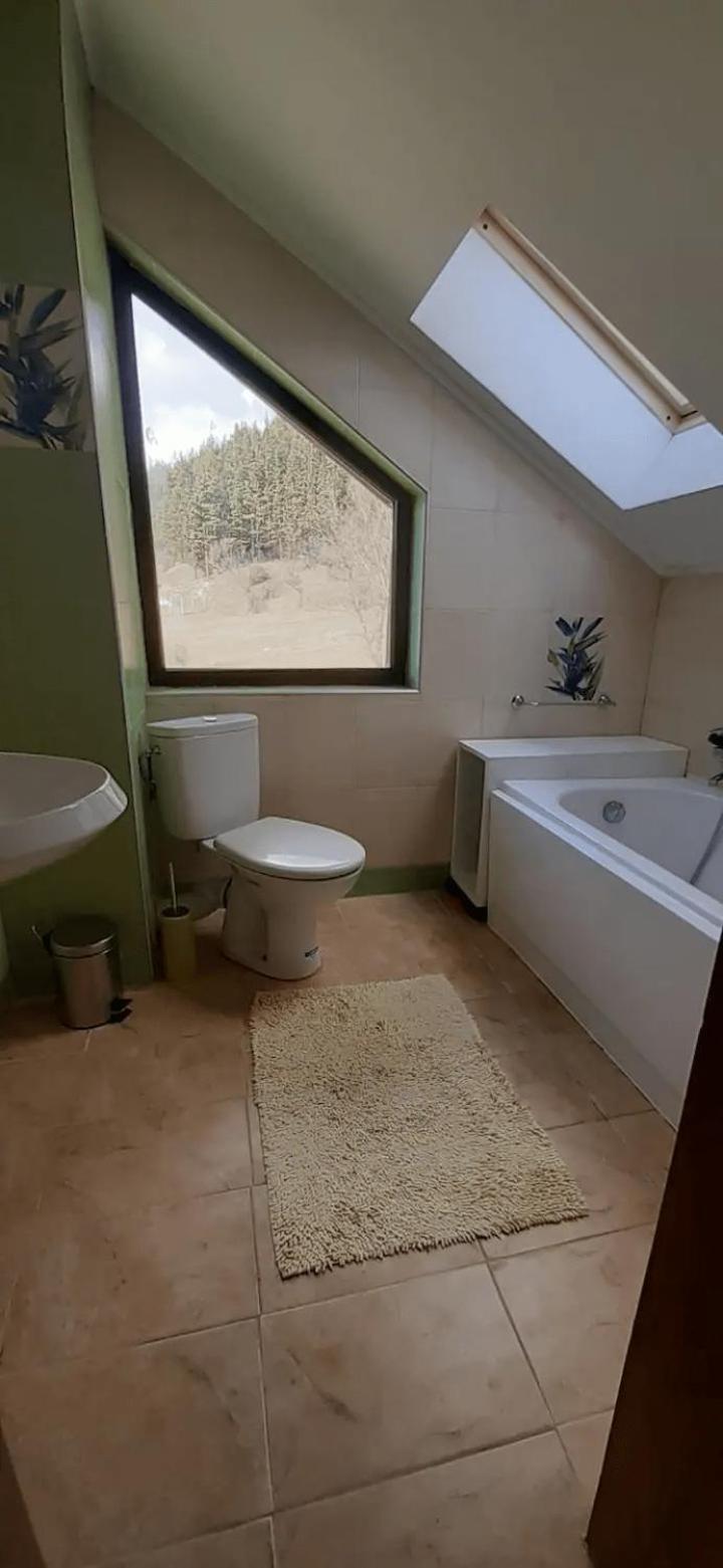 Villa Detelina near the Bansko Ski Resort
