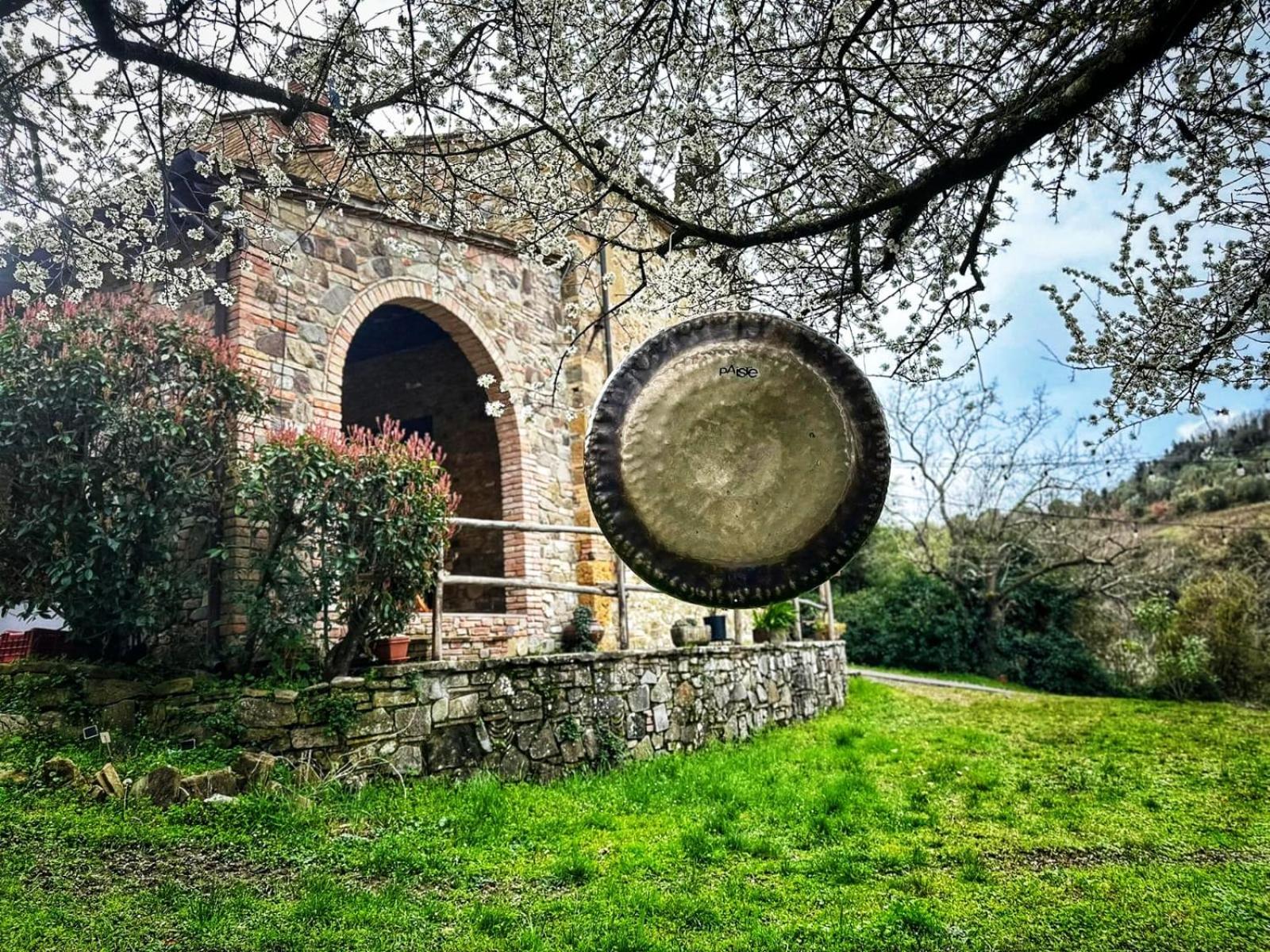 Casa nel bosco il Grottone