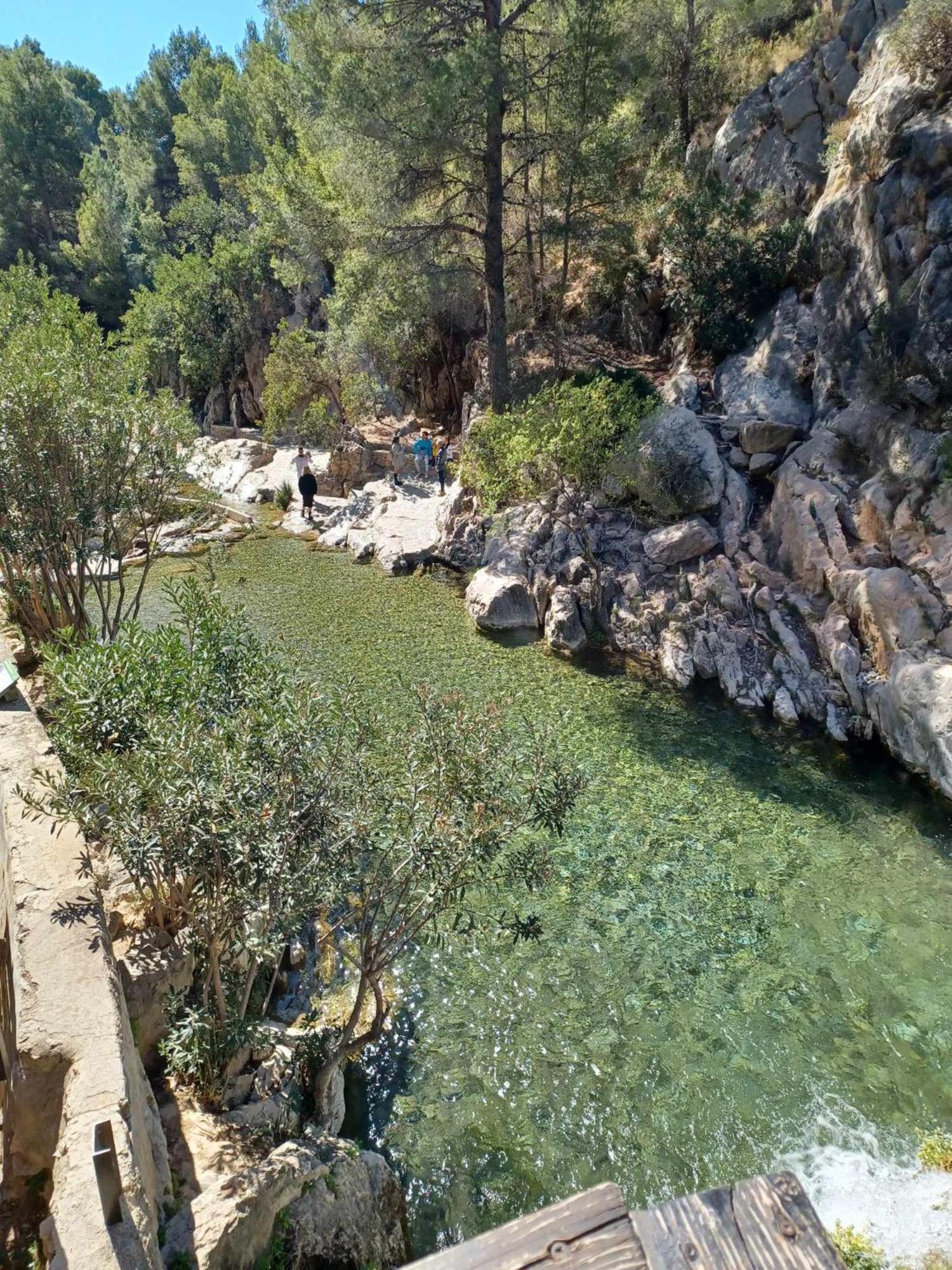 Photo 6