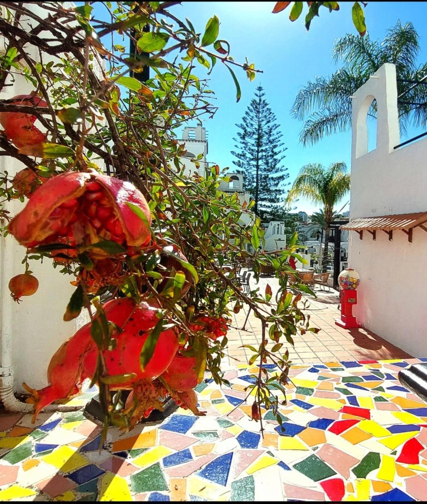 Happy Holiday Home! Pueblo Evita Charming Condo