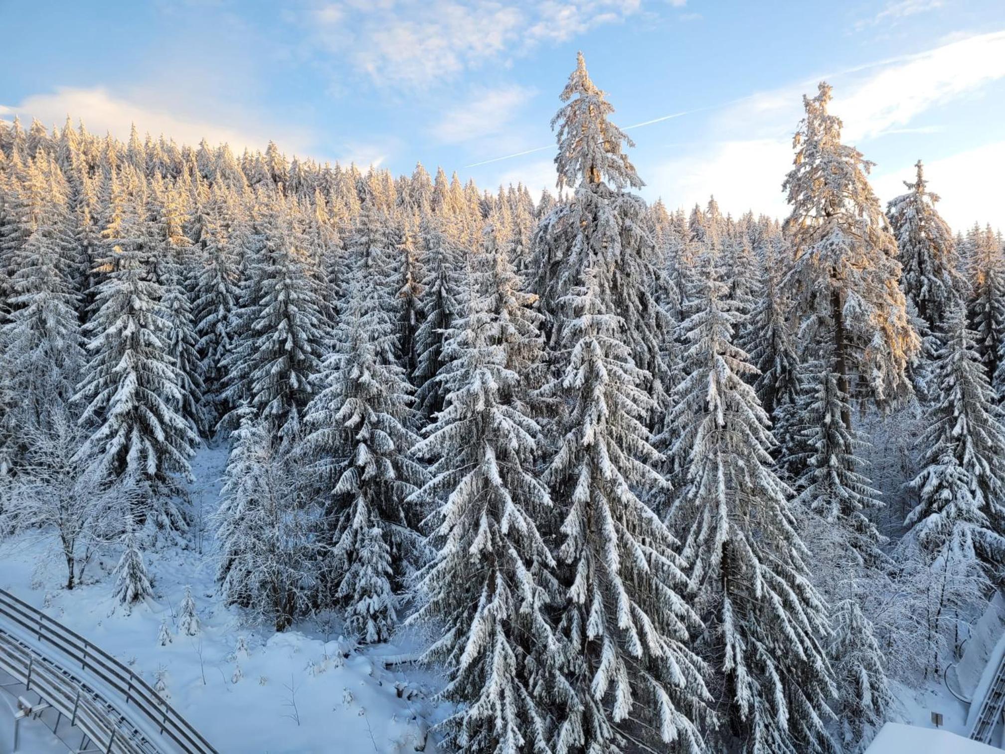 Ferienwohnung Haerz, Berglodge 08, NEU