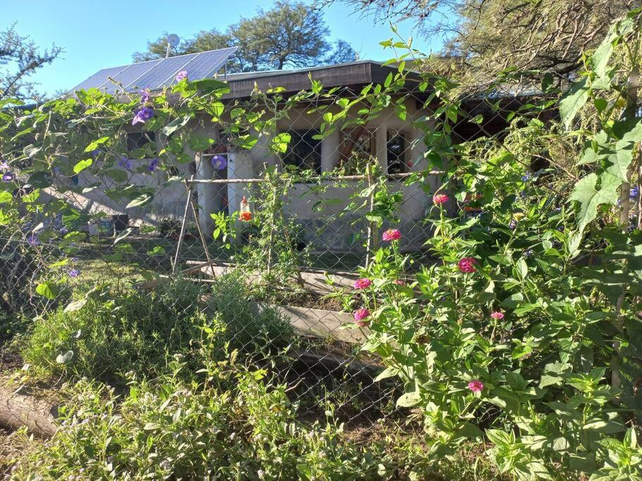 Casa Pepino