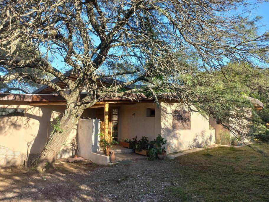 Casa Pepino