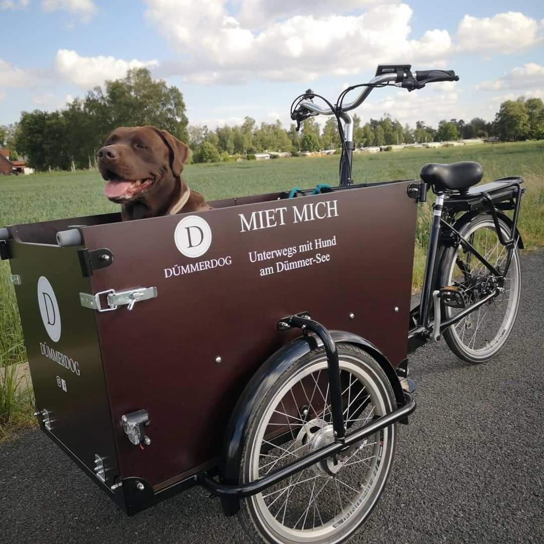 Dümmerliebe mit Garten, 10 Min. fussläufig zum See