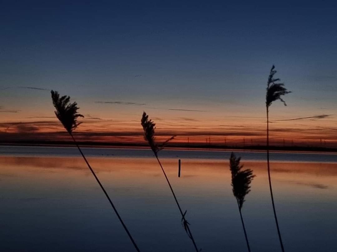Dümmerliebe mit Garten, 10 Min. fussläufig zum See
