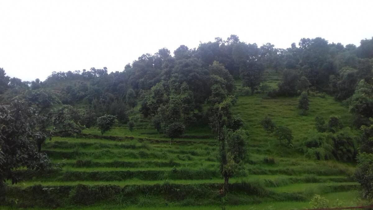 Royal Eco-Village Homestay view 3