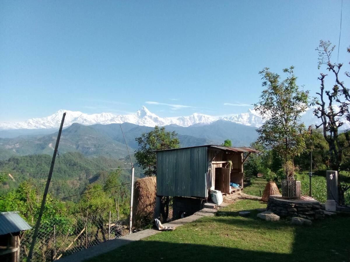 Royal Eco-Village Homestay view 4