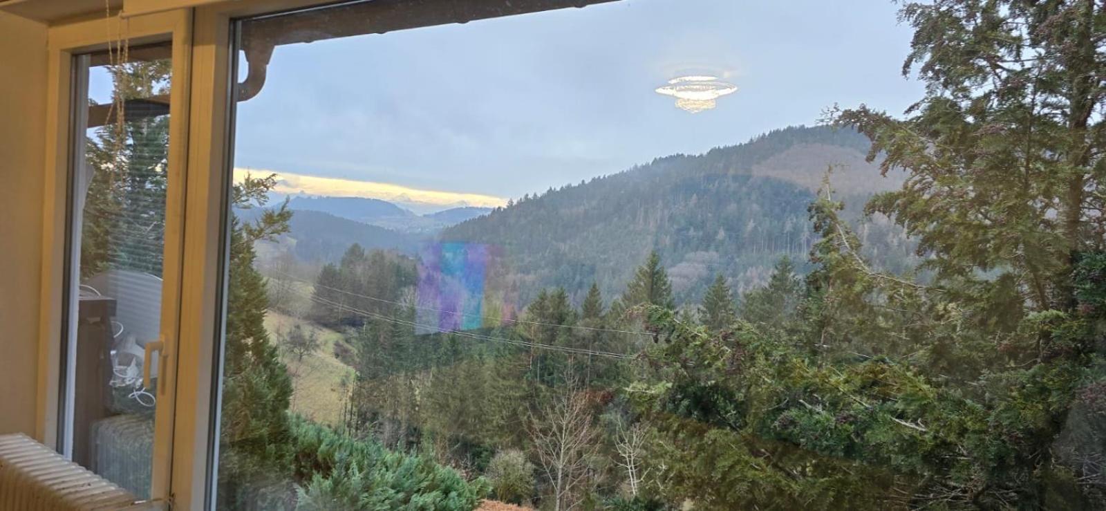 Wohnung im Schwarzwald mit Panorama Blick
