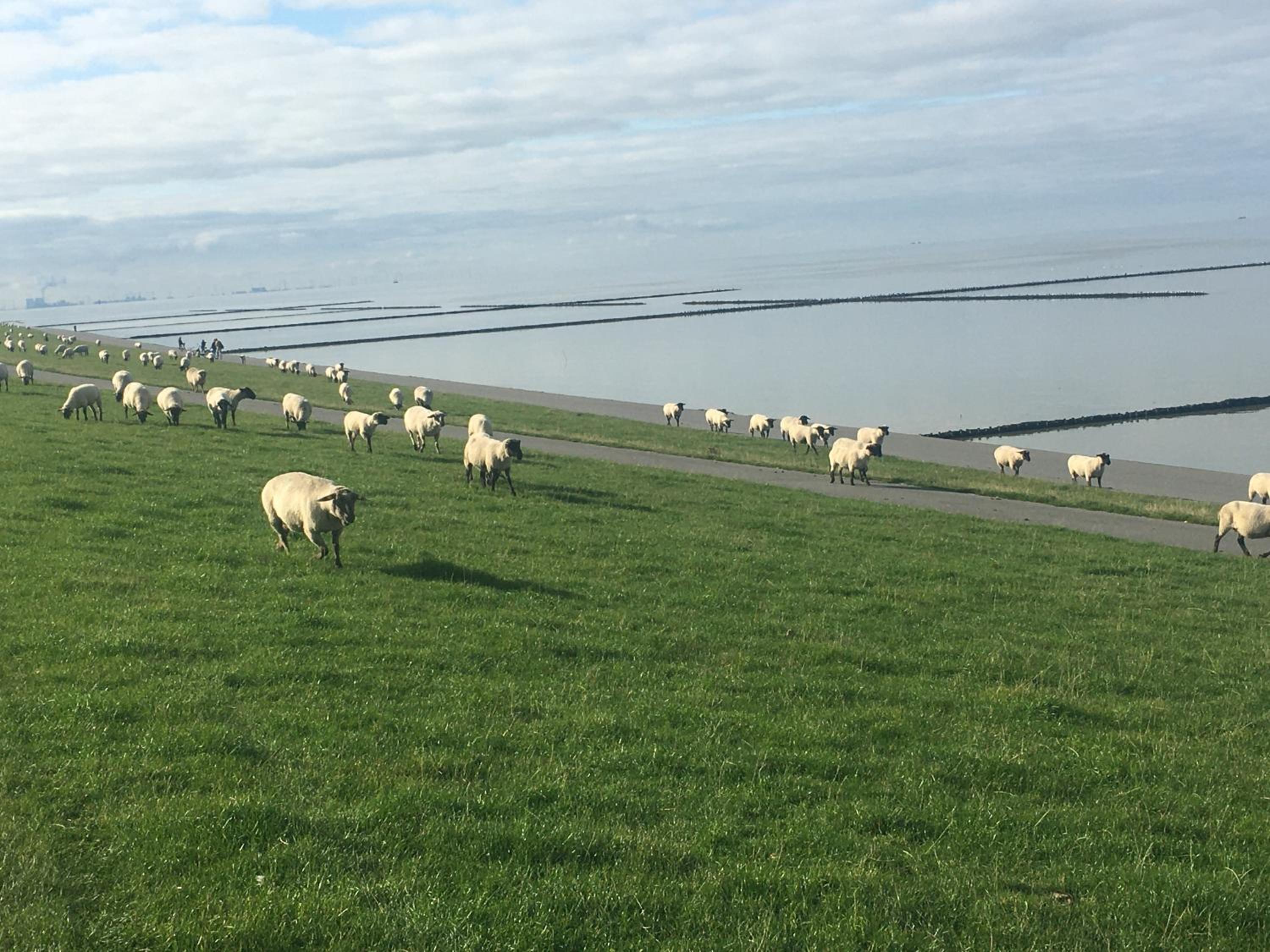Ferienkate Norddeich