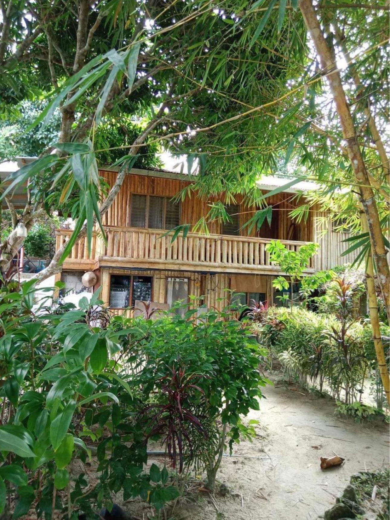Photo 73