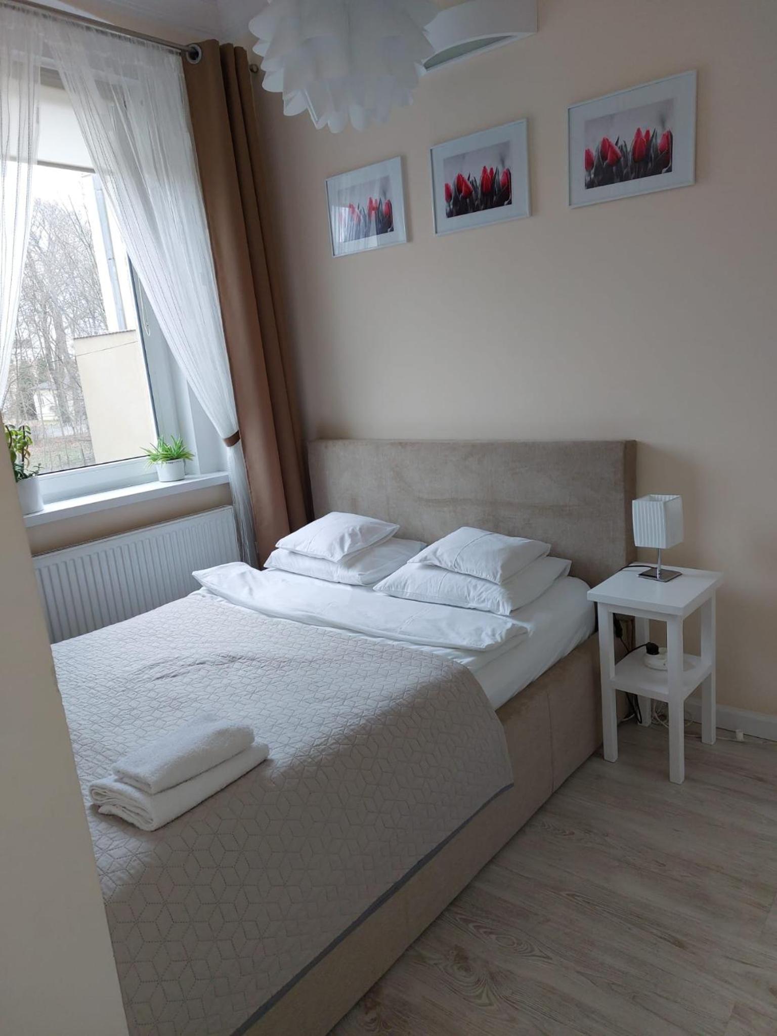 come&stay Zielona Góra, photo 3