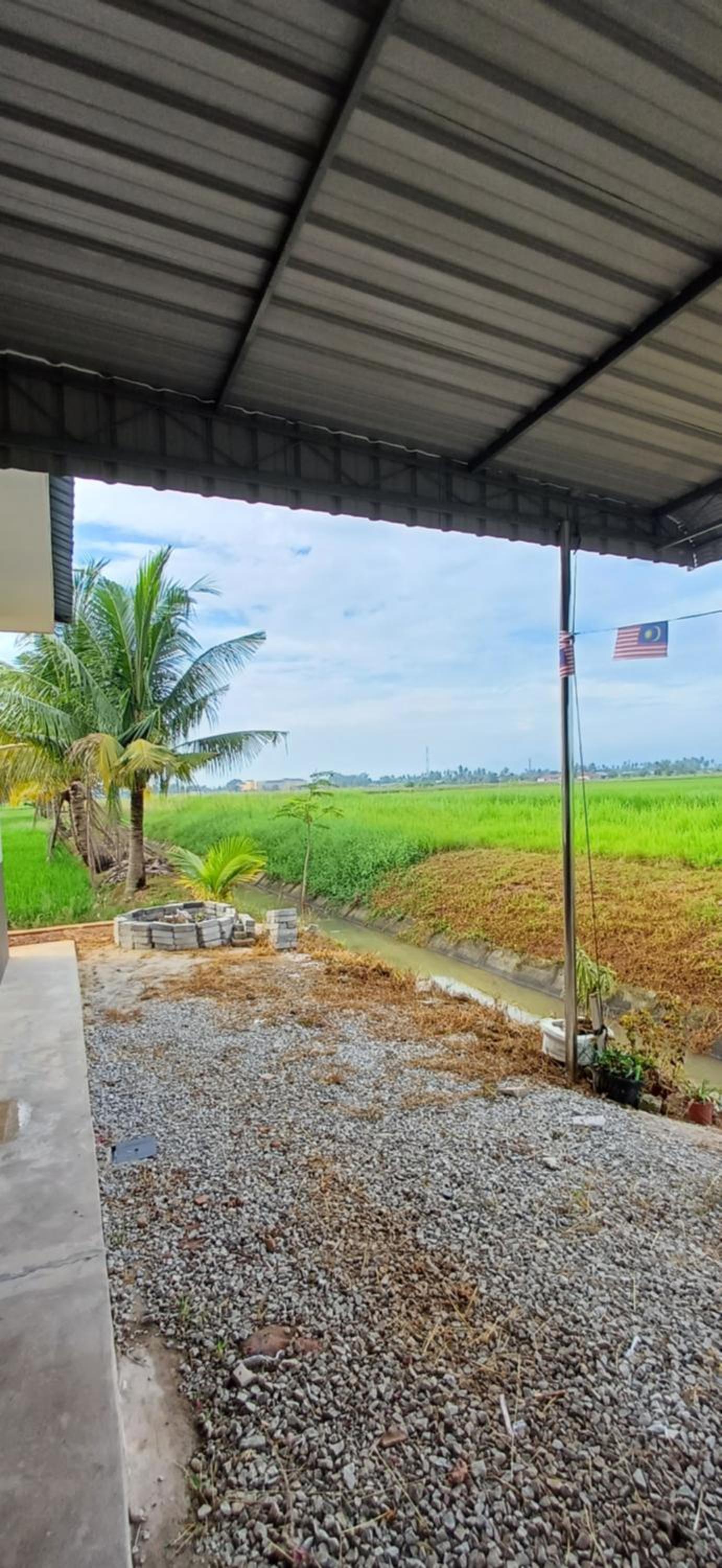 teratai ciknah photo 5