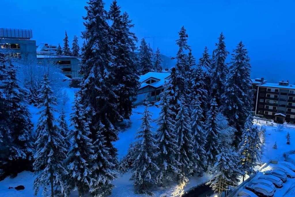 Appartement 4.5 pièces Crans-Montana