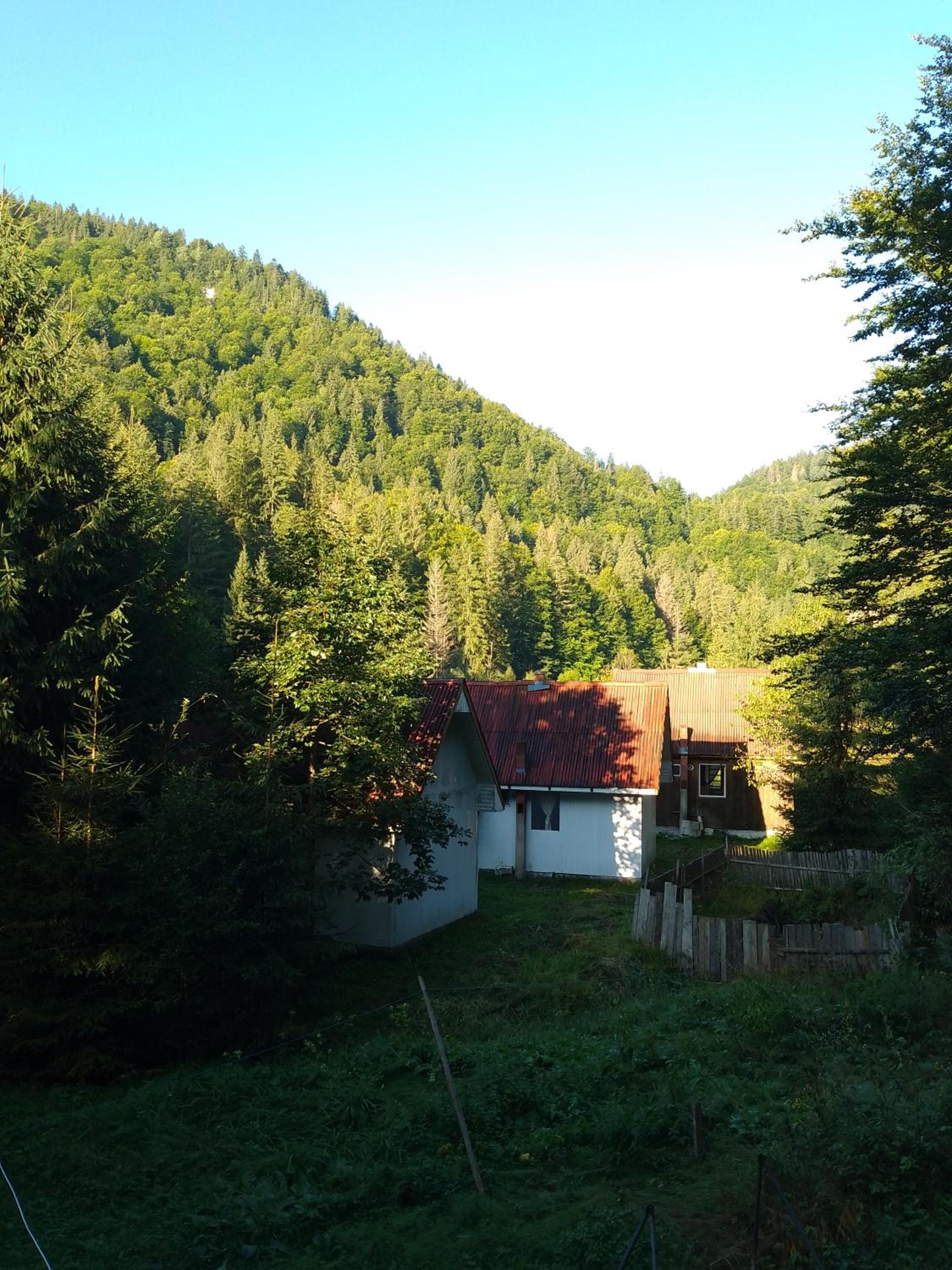 Photo 26