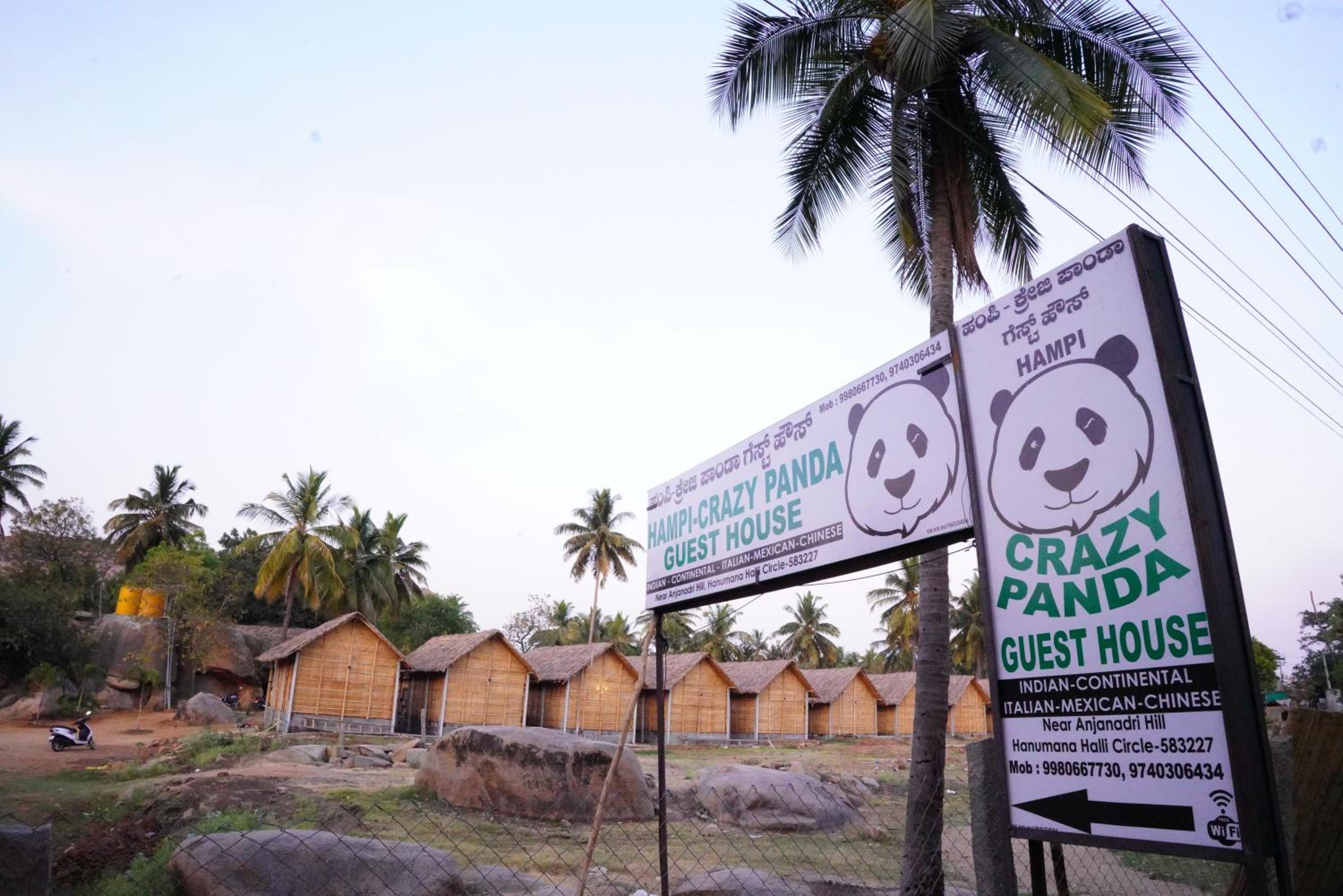 Hampi Crzy Panda