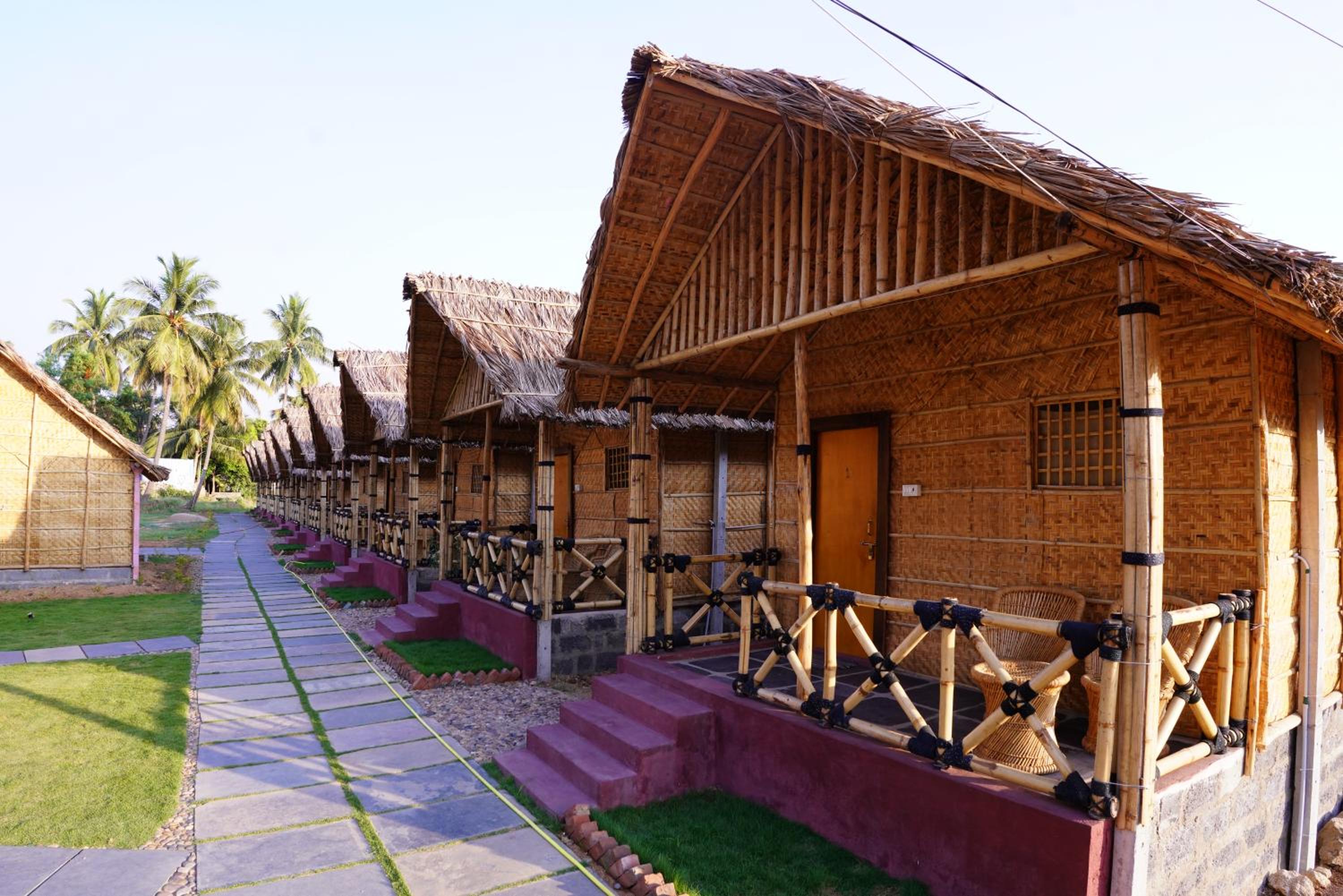 Hampi Crzy Panda