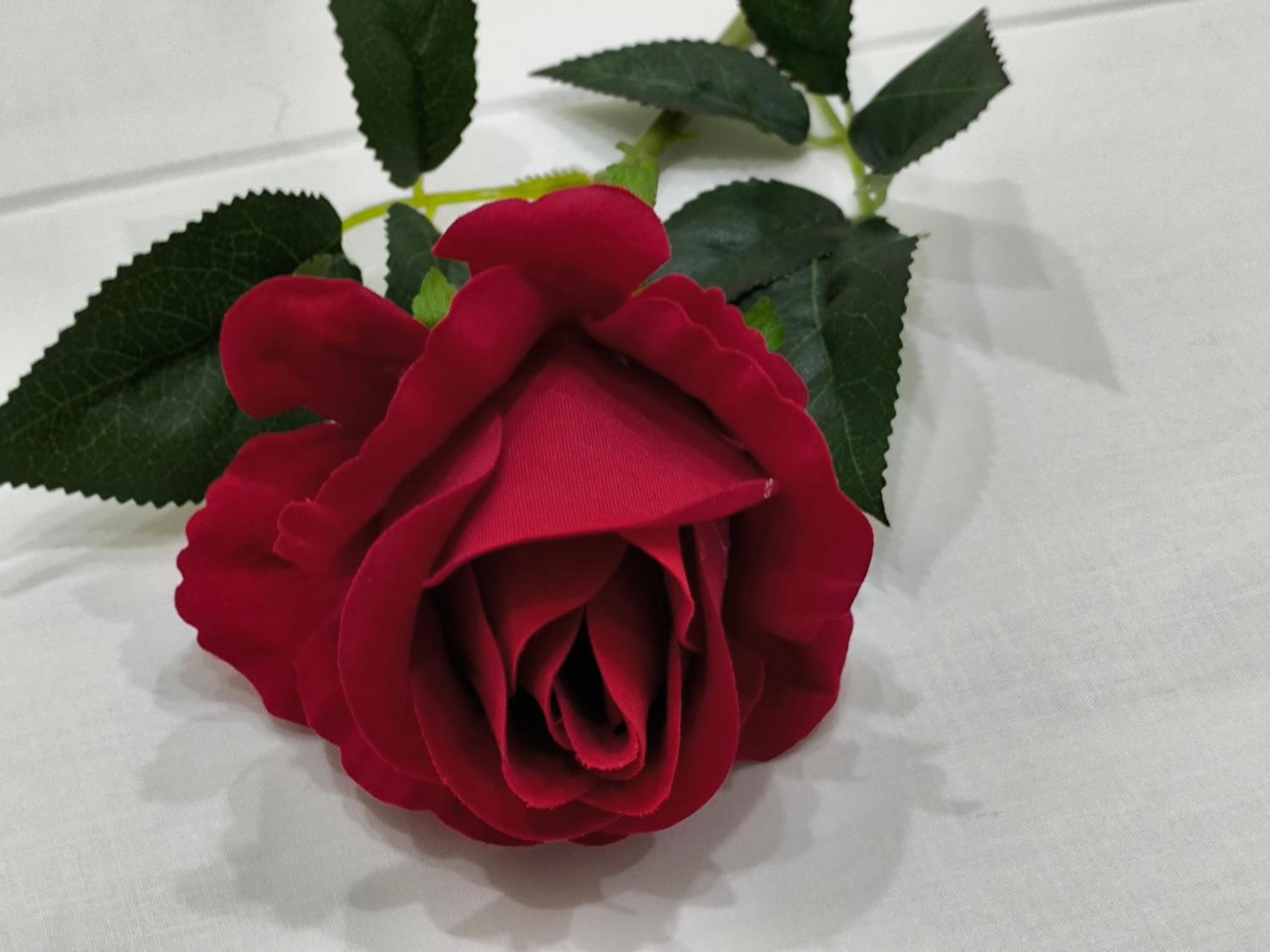 Photo 34