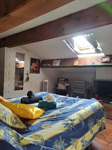 ICI et MAINTENANT Chambres chez l'Habitant