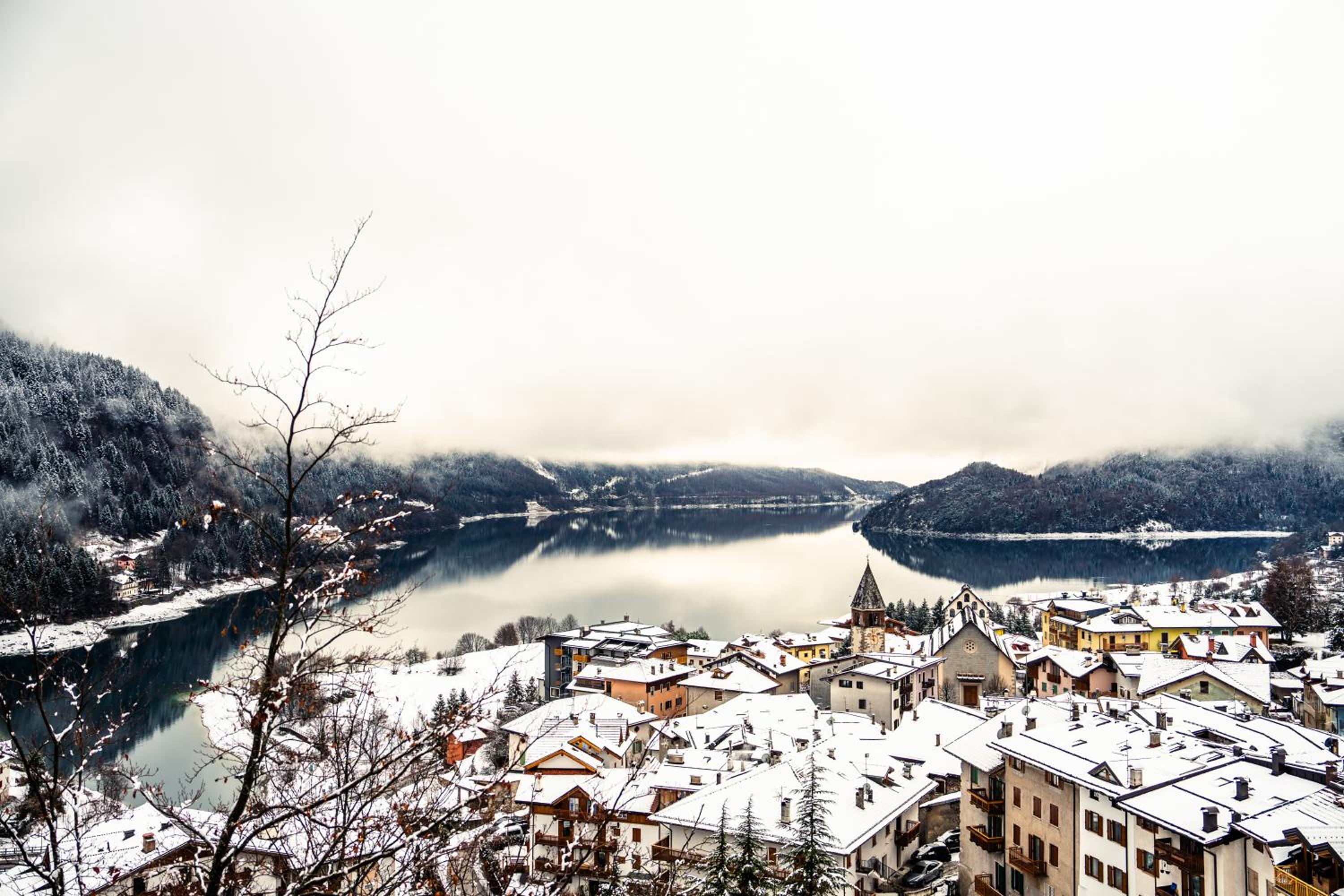 Photo 39