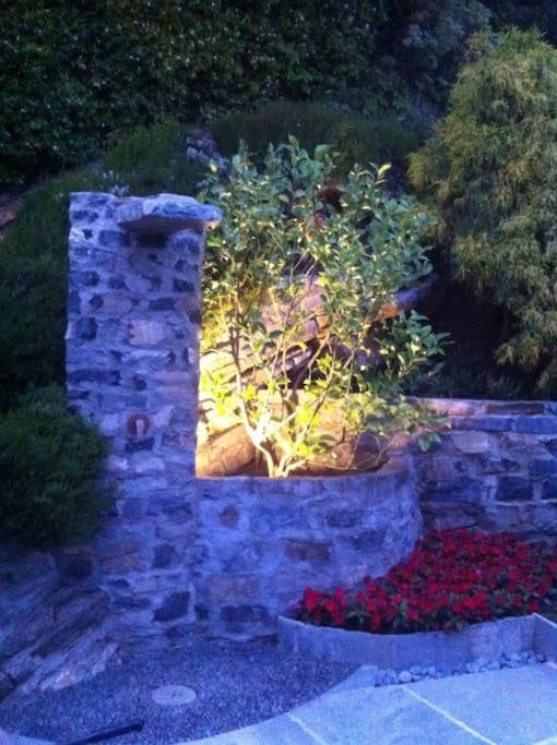 Photo 29