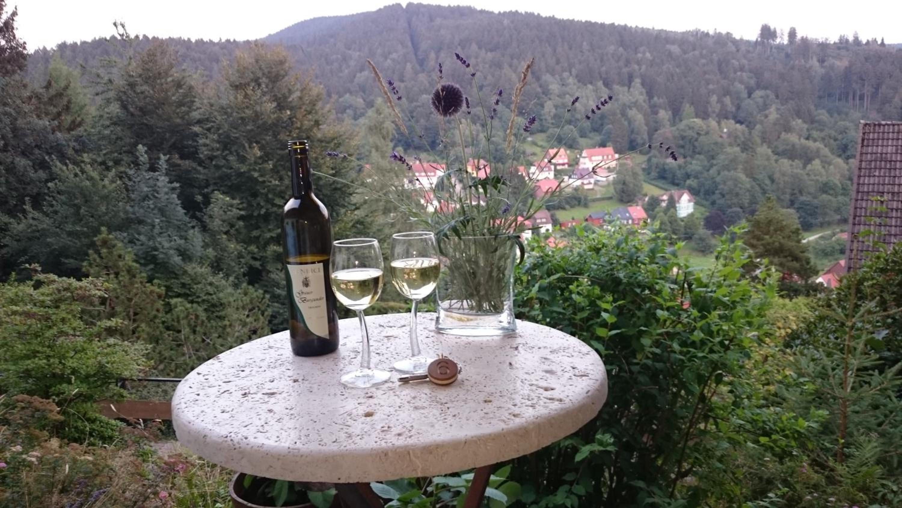 Pension Talblick Bad Grund