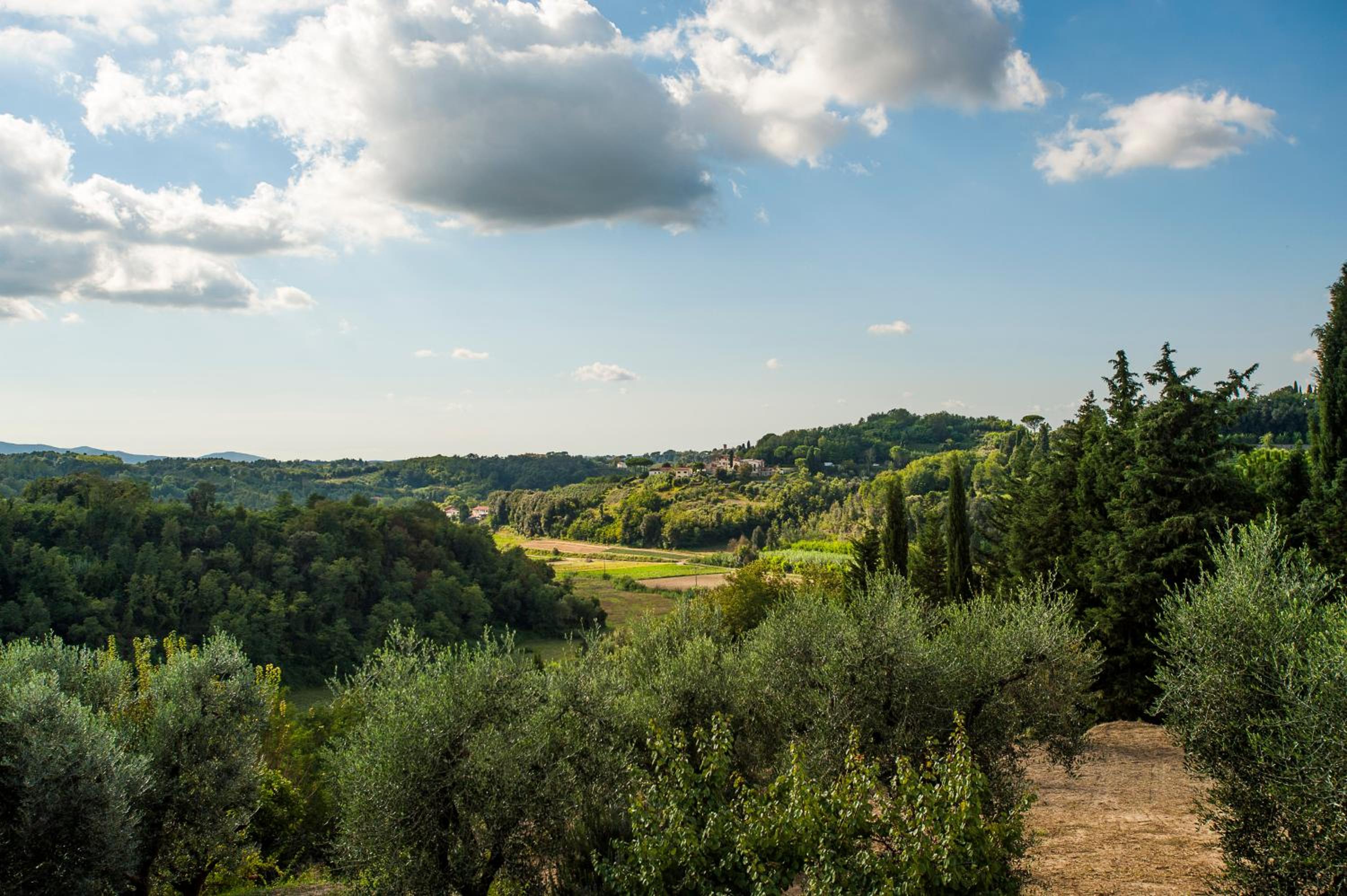 La Tonnaia