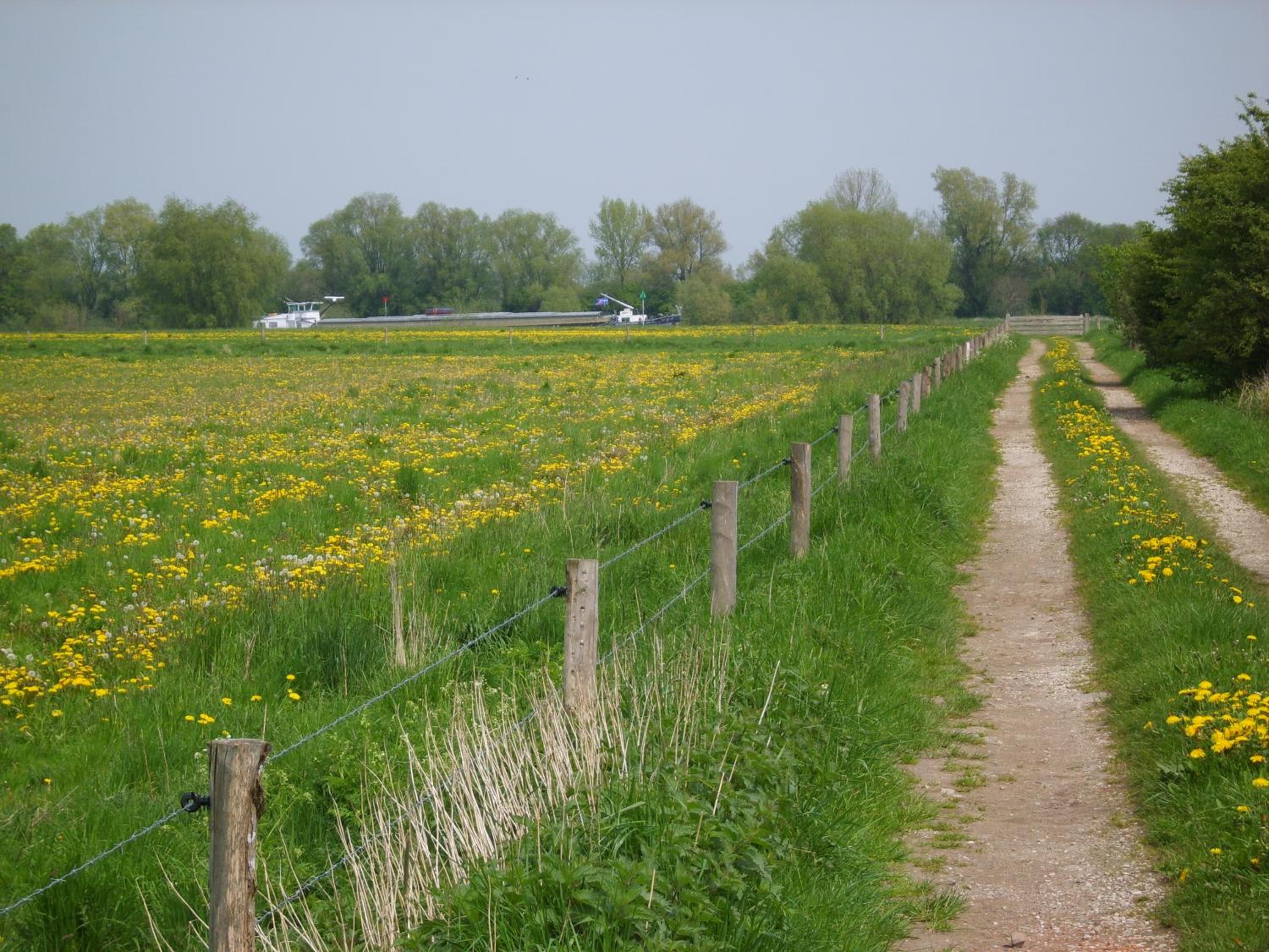 Photo 28