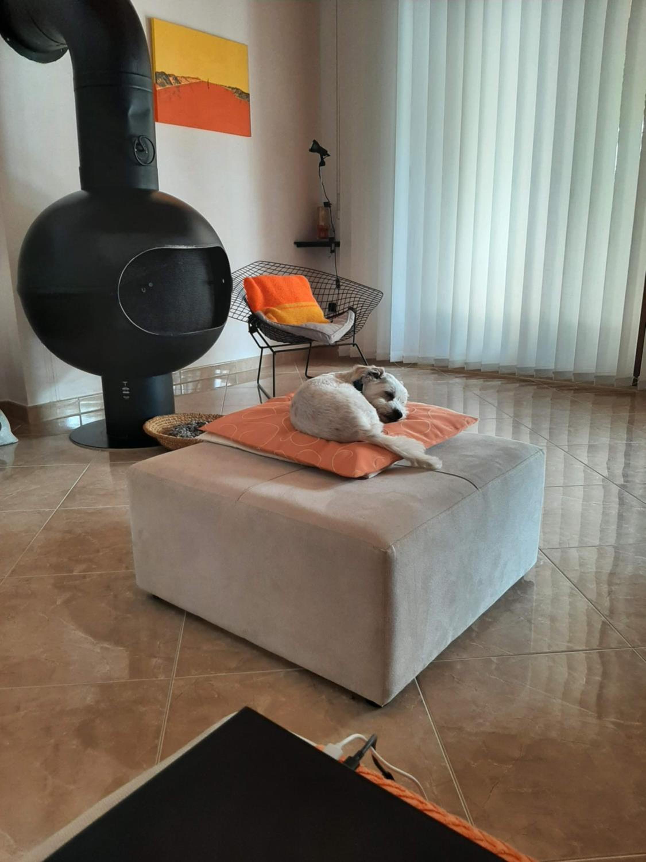 Photo 22