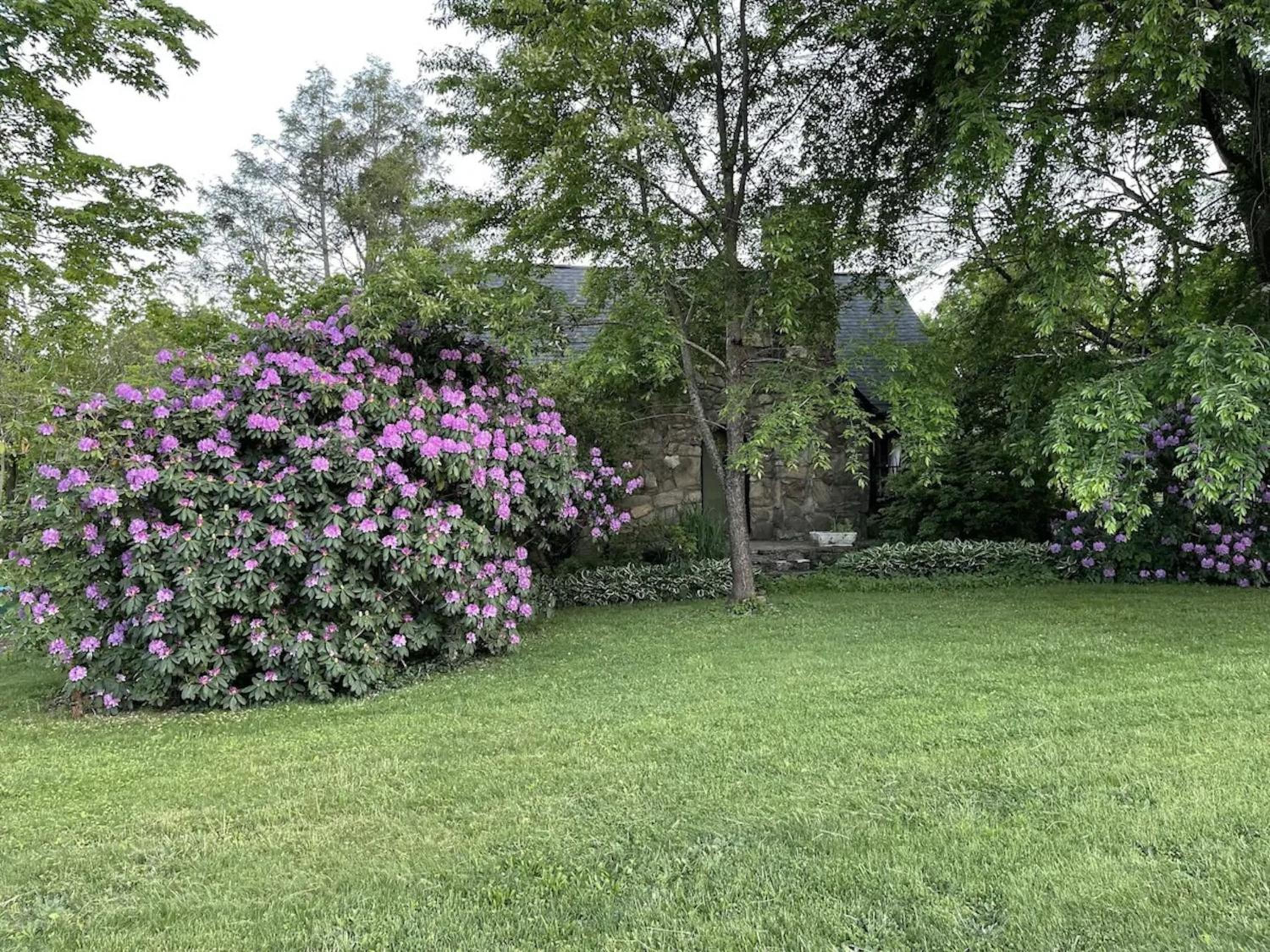 Asheville Urban Farmhouse Entire Home 4 mi to DT view 3