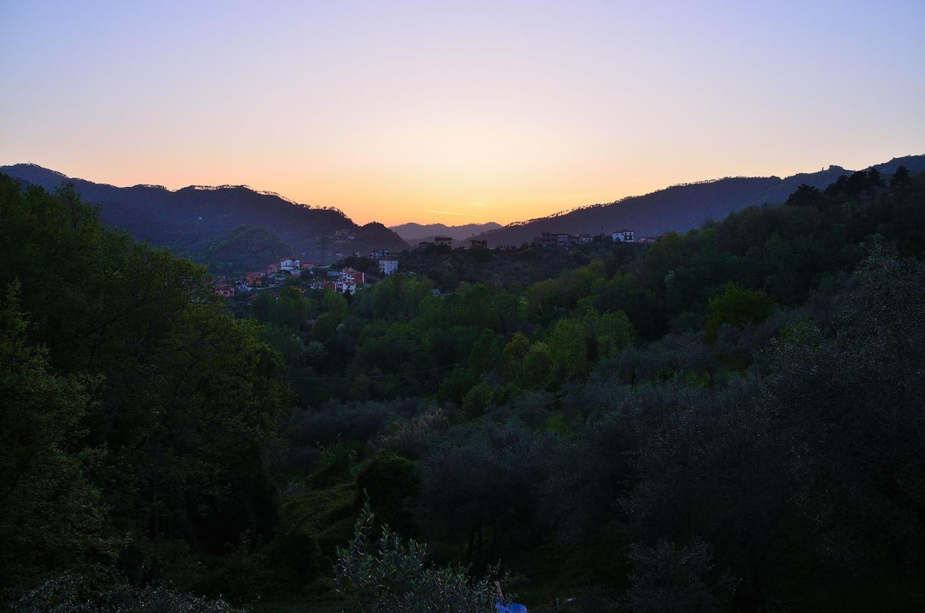 Luce Stellata