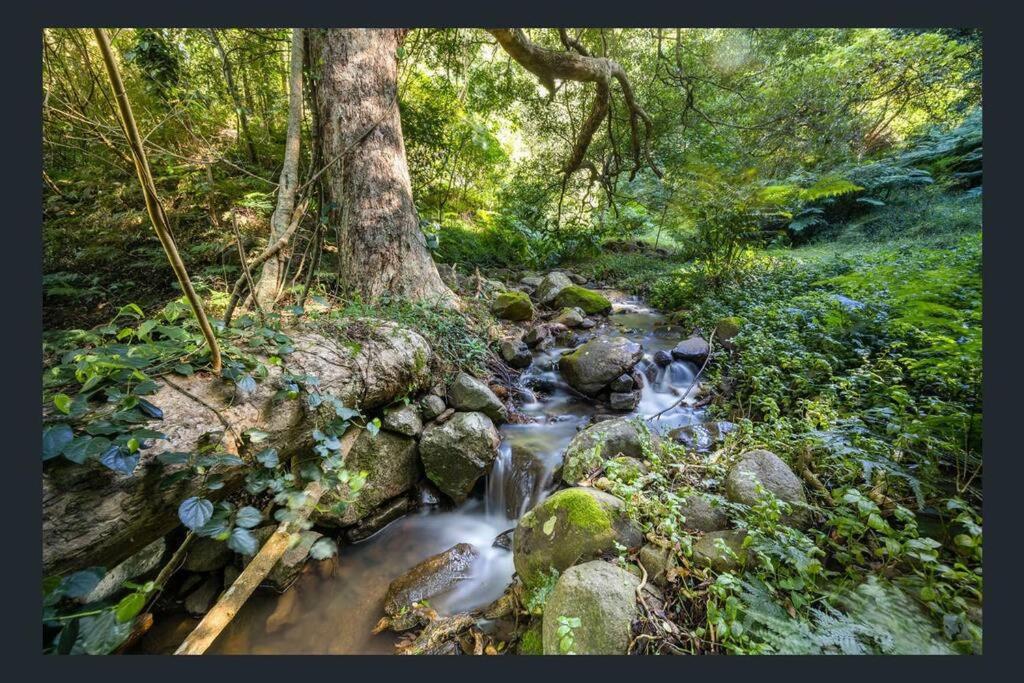 Hinterland Retreat on 30 acres - Sleeps 6